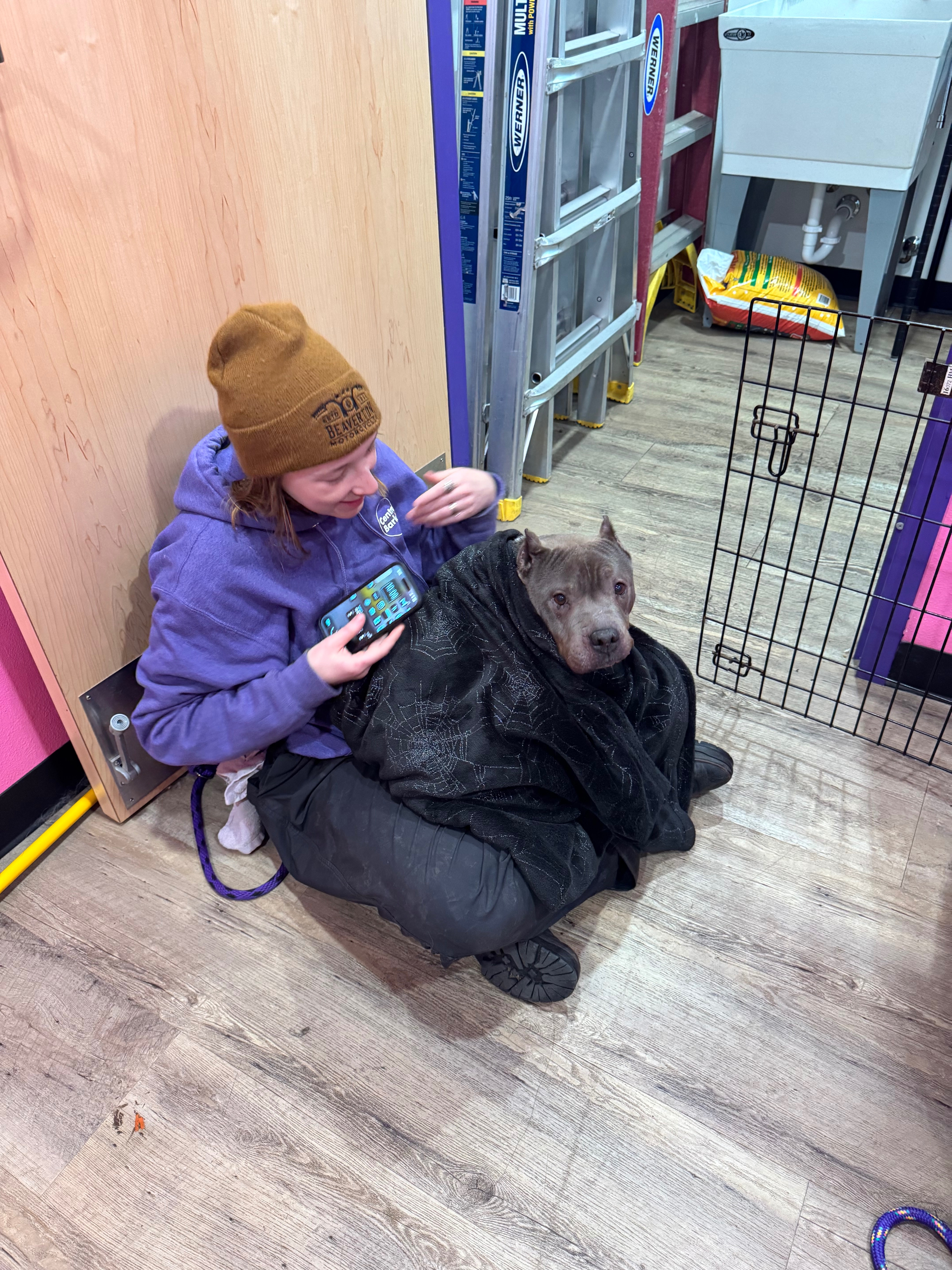 A New Start for a Rescued Dog in Need campaign photo, 6 of 7