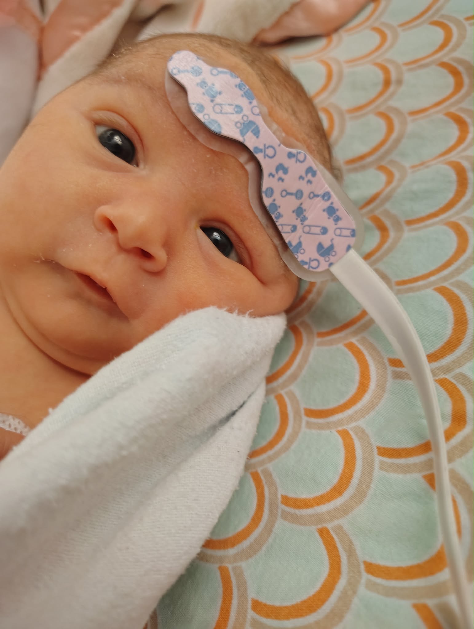 Hope and Healing for Baby Genevieve in Cardiac ICU campaign photo, 7 of 8