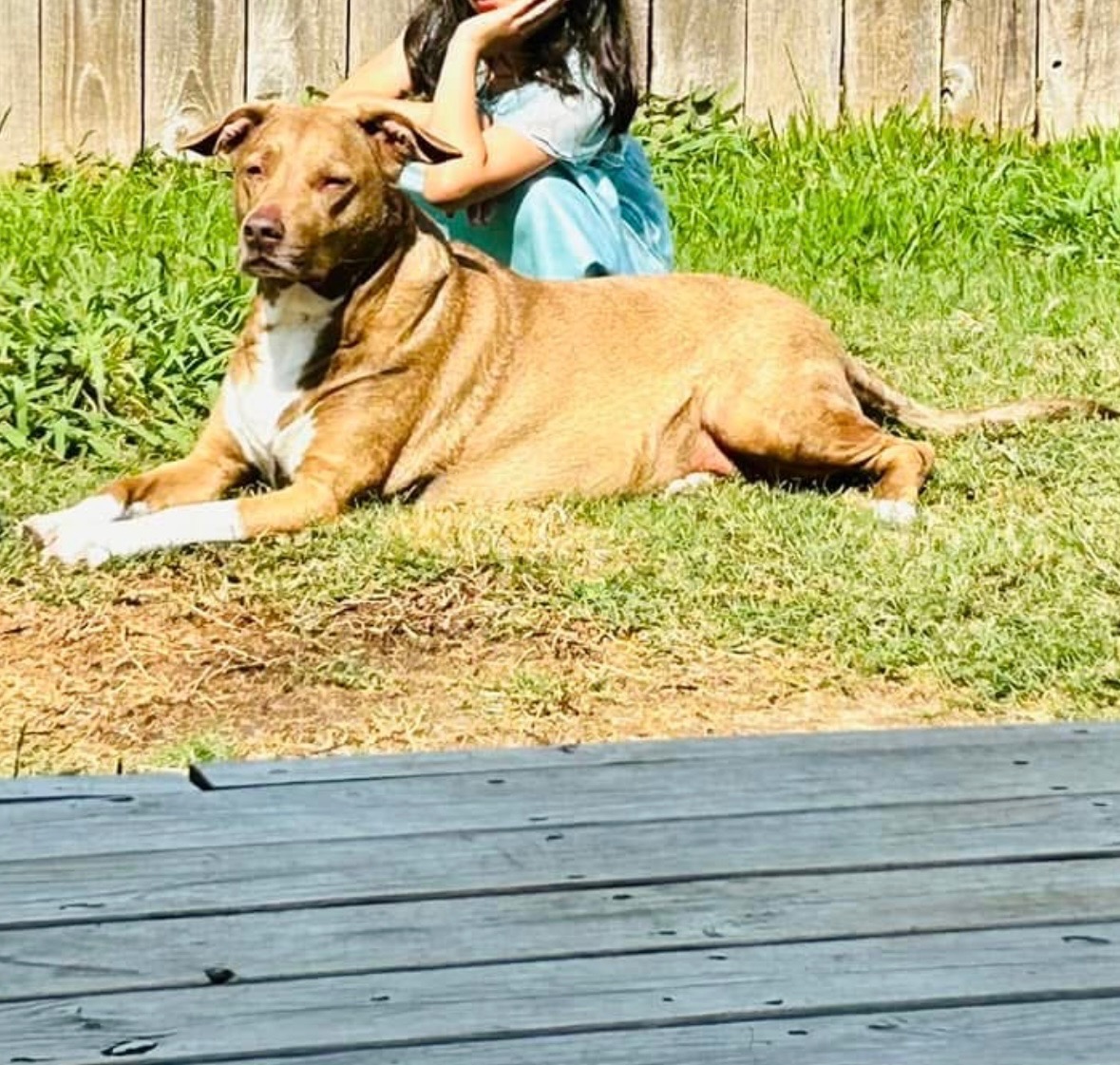 Help Nikita Fight for Her Life campaign photo, 4 of 7