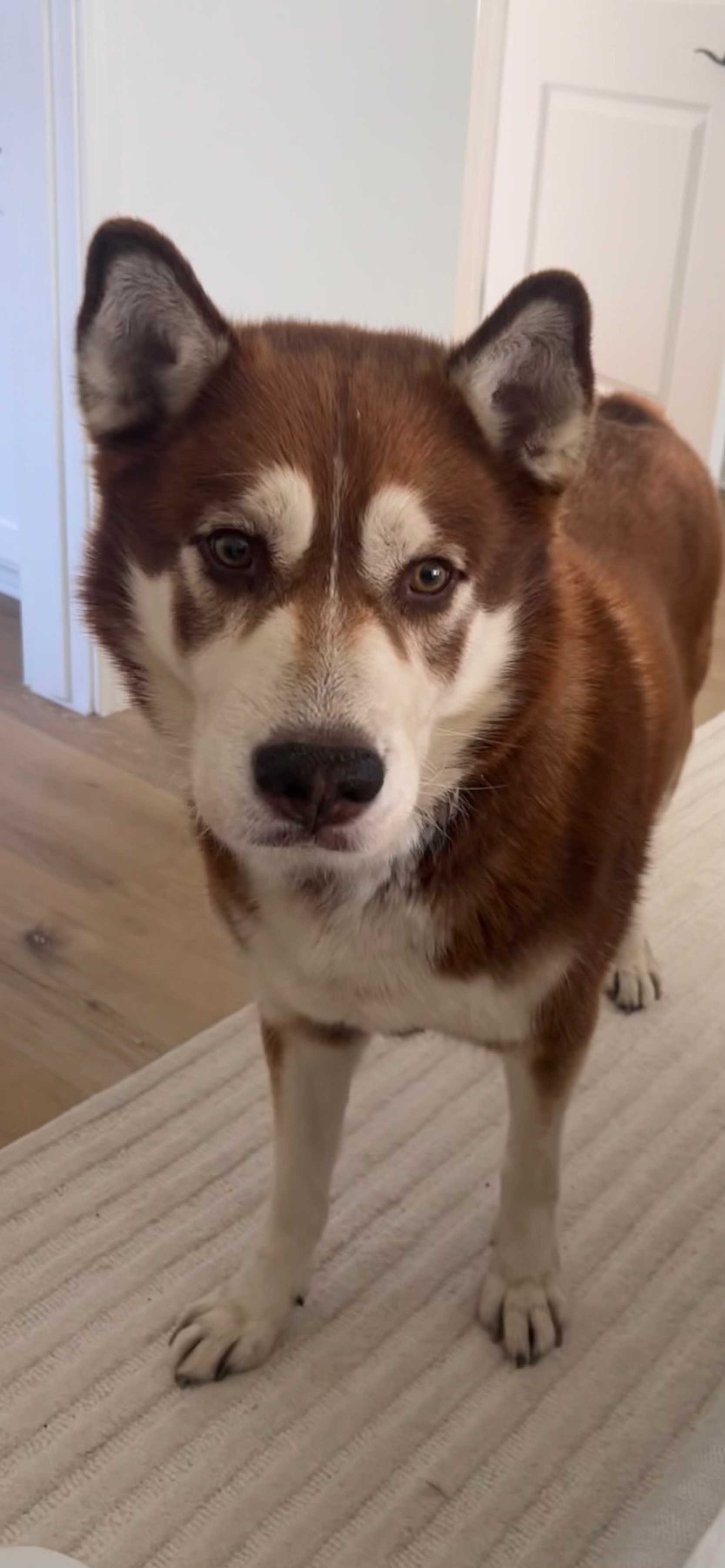 Help Akyli Recover and Live His Best Life campaign photo, 7 of 8