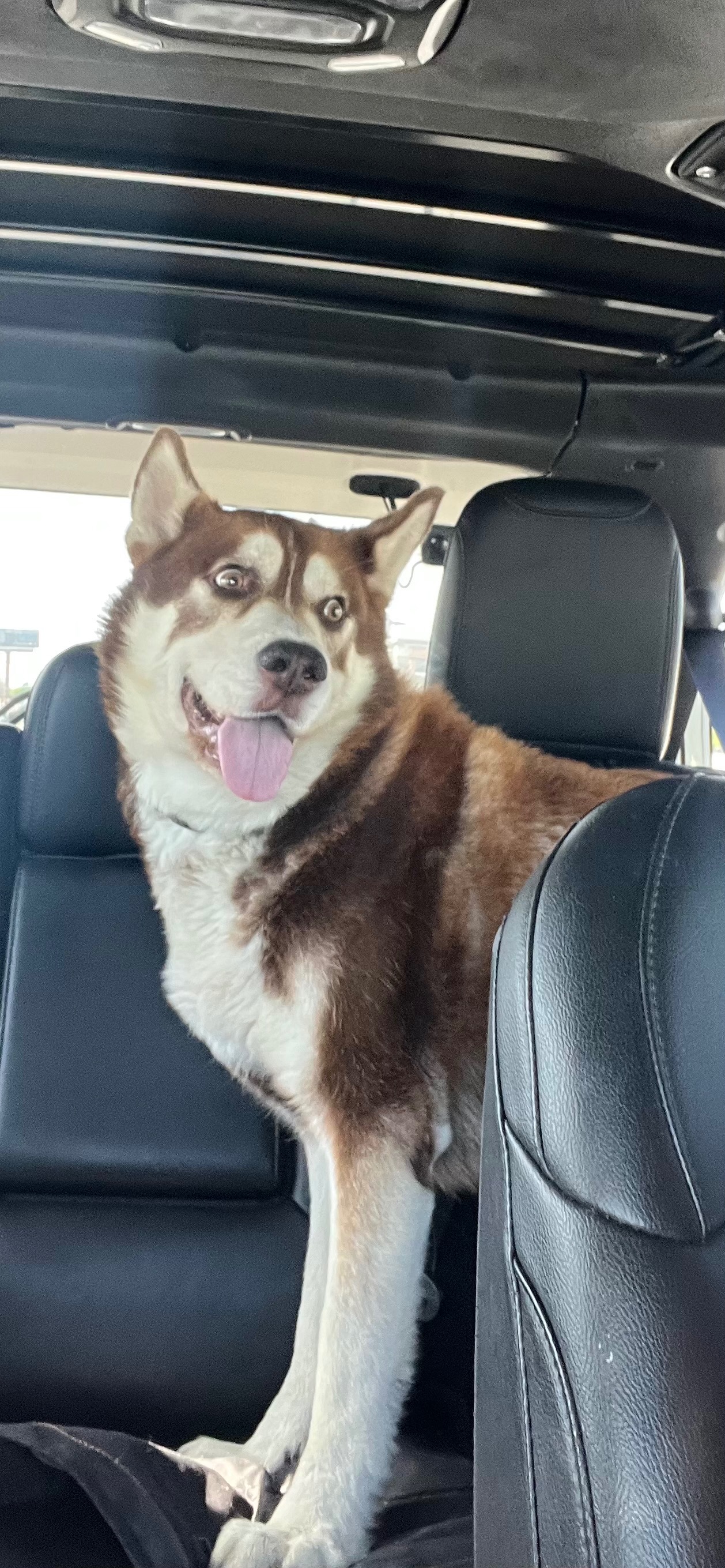 Help Akyli Recover and Live His Best Life campaign photo, 2 of 8