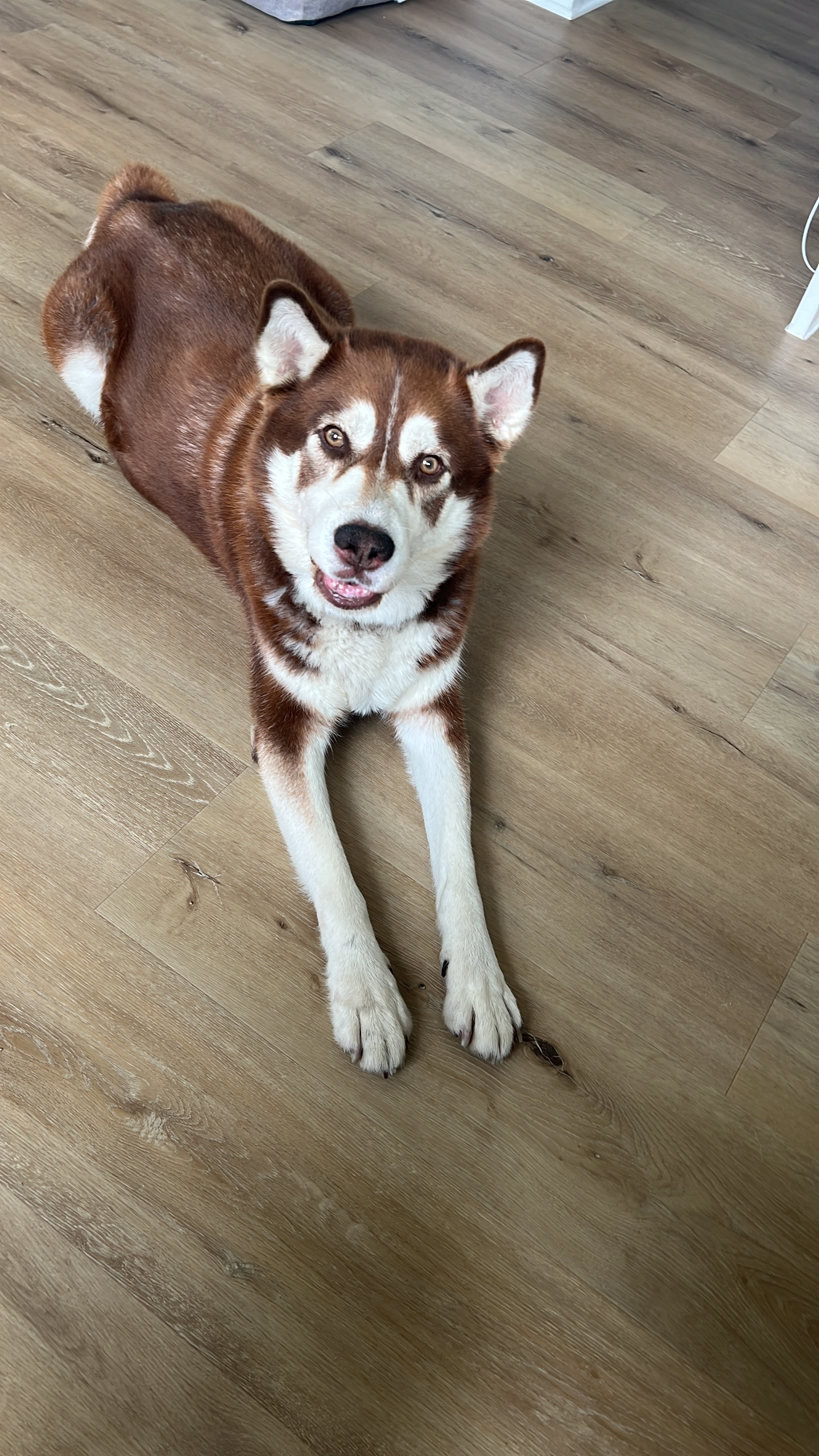 Help Akyli Recover and Live His Best Life campaign photo, 4 of 8