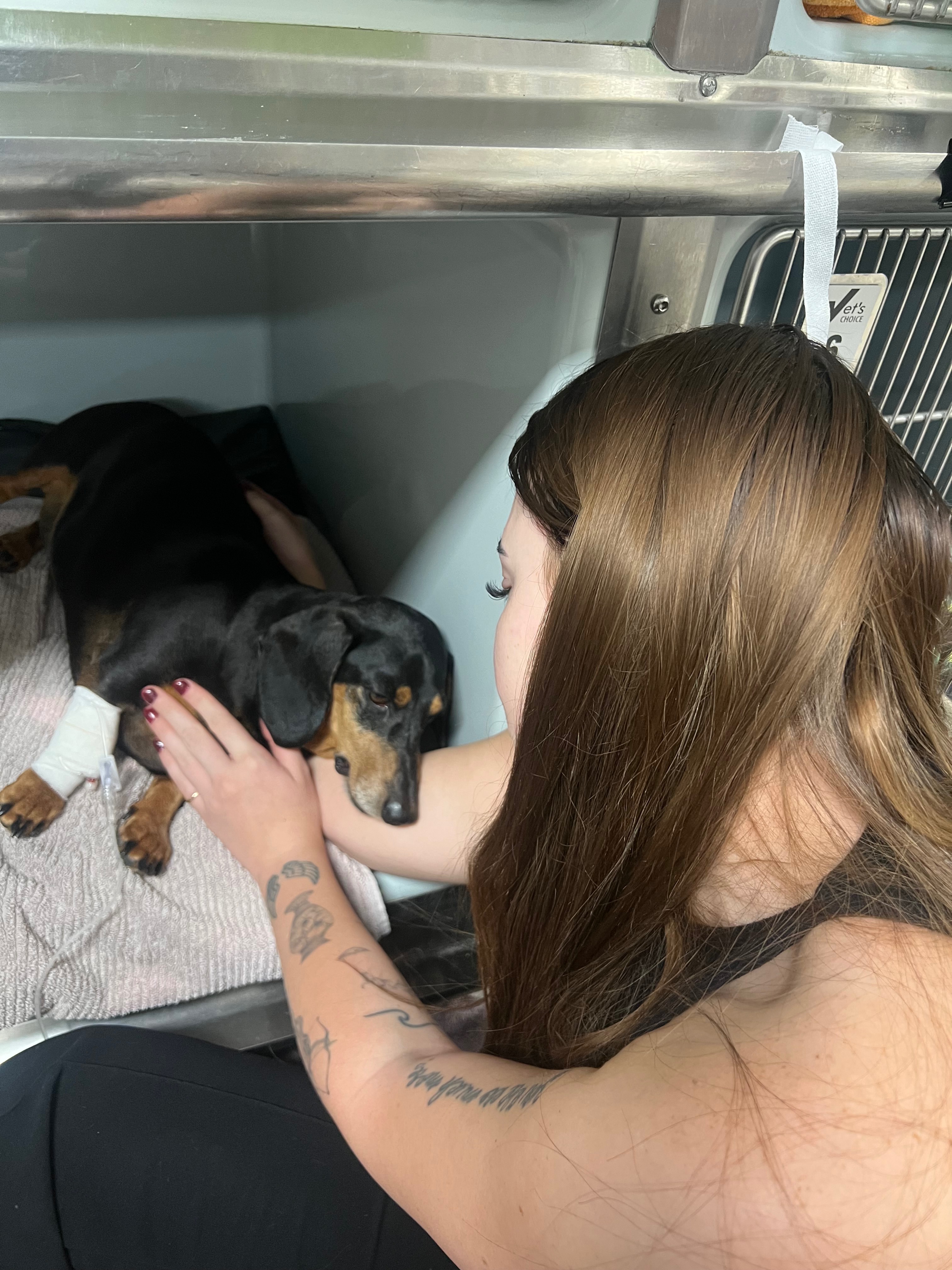 Please help our little Romeo recover campaign photo, 6 of 7