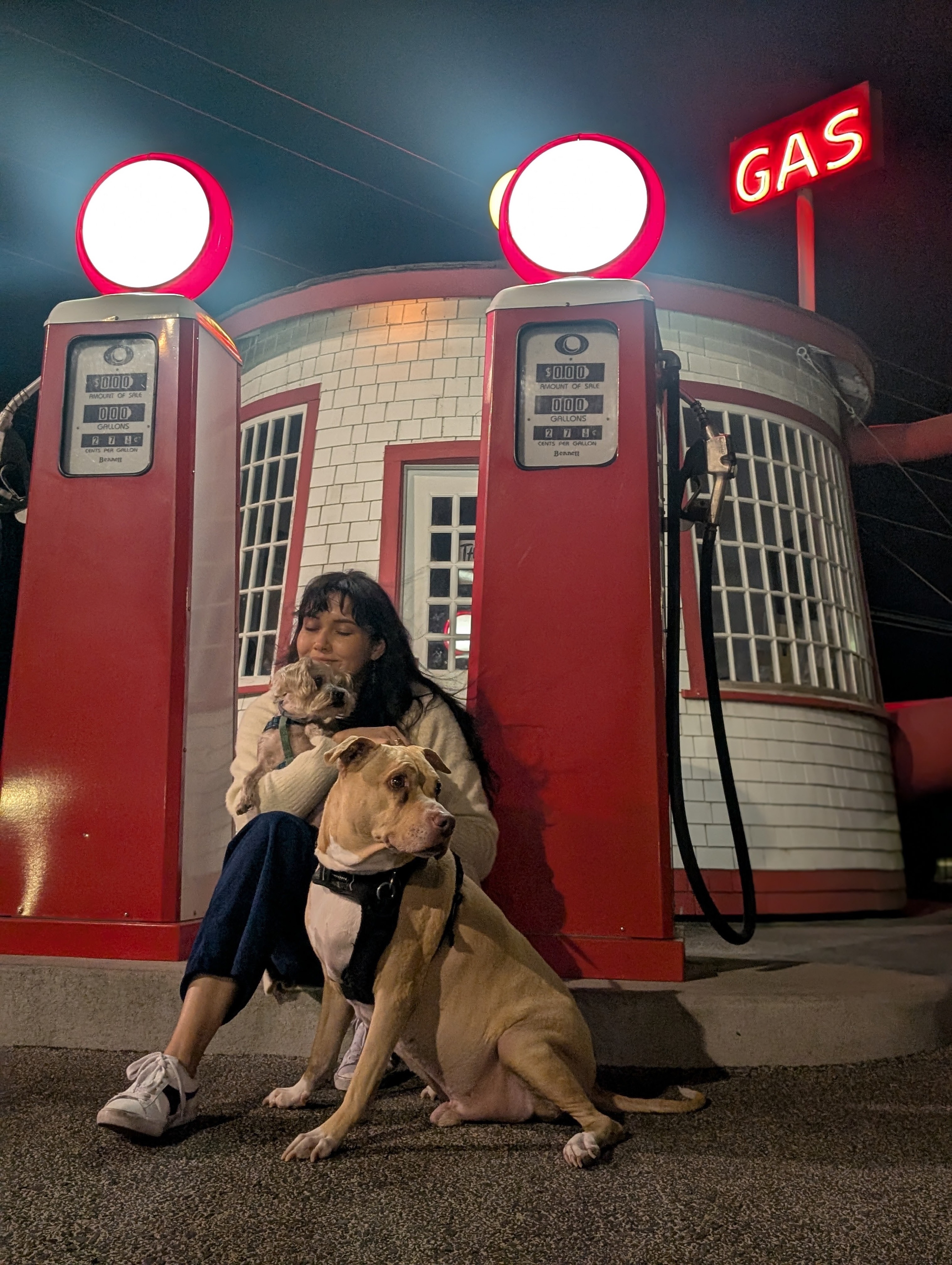 Fundraiser by Mia Favela : Healing Minnie: Our Loyal Guardian Needs Help, image size:3036x4032