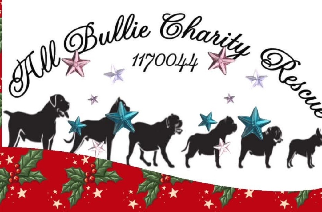 Christmas fundraiser campaign photo, 4 of 7