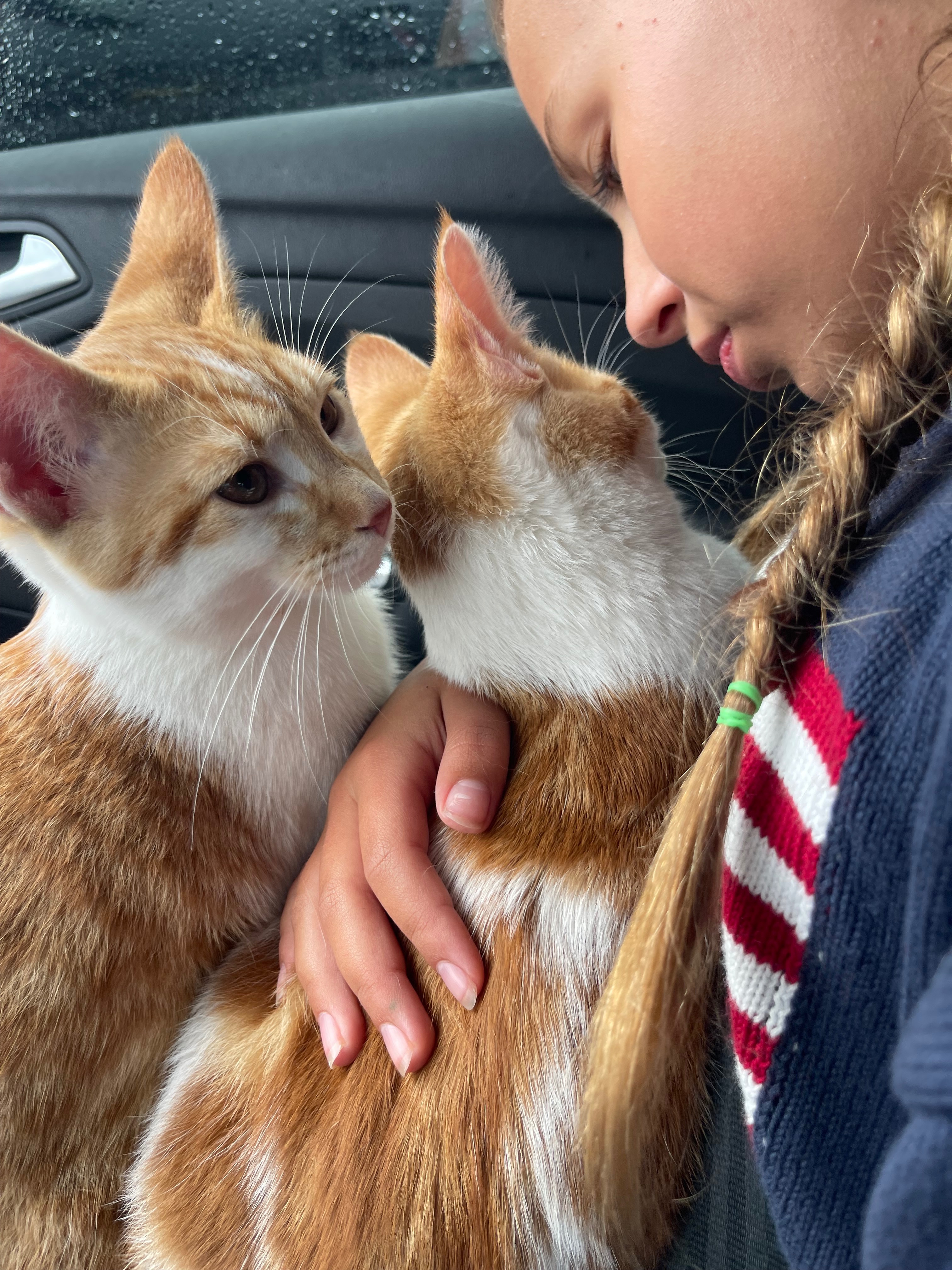 Help Benson Get Life-Saving Surgery campaign photo, 5 of 7