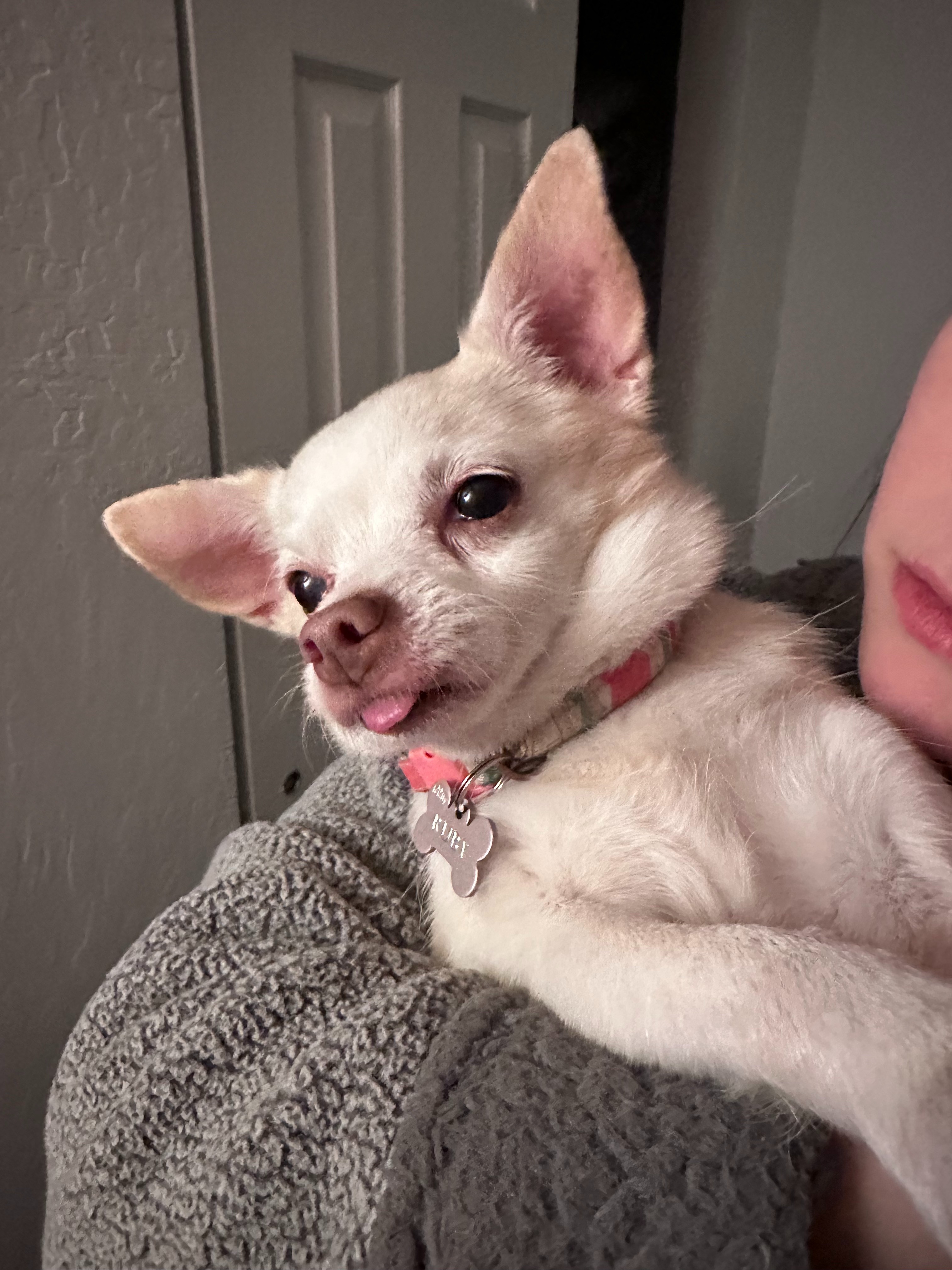 Help Ruby Jean Get Lifesaving Medical Care campaign photo, 5 of 8
