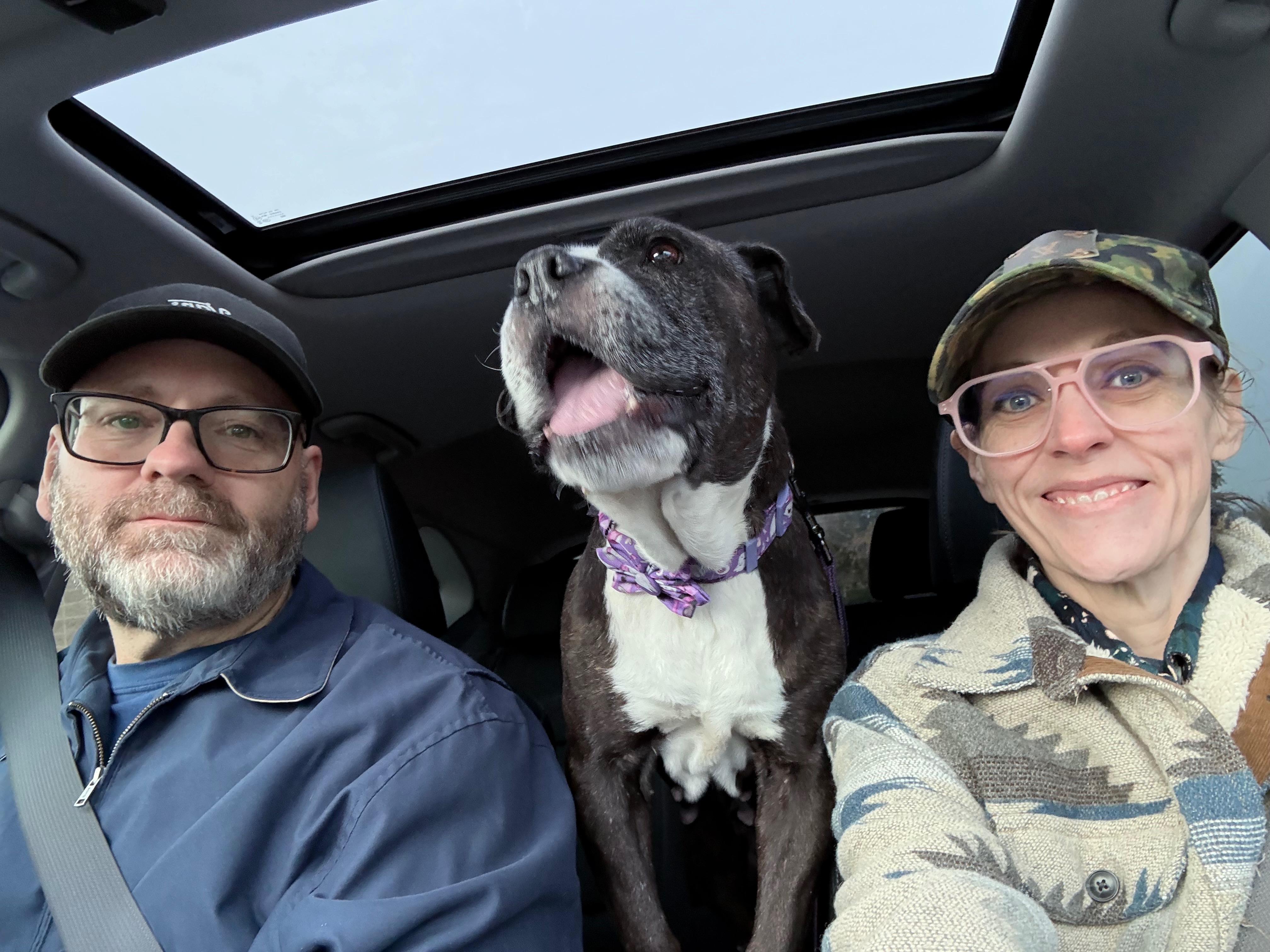 Help Maggie Get the Surgery She Needs campaign photo, 2 of 7