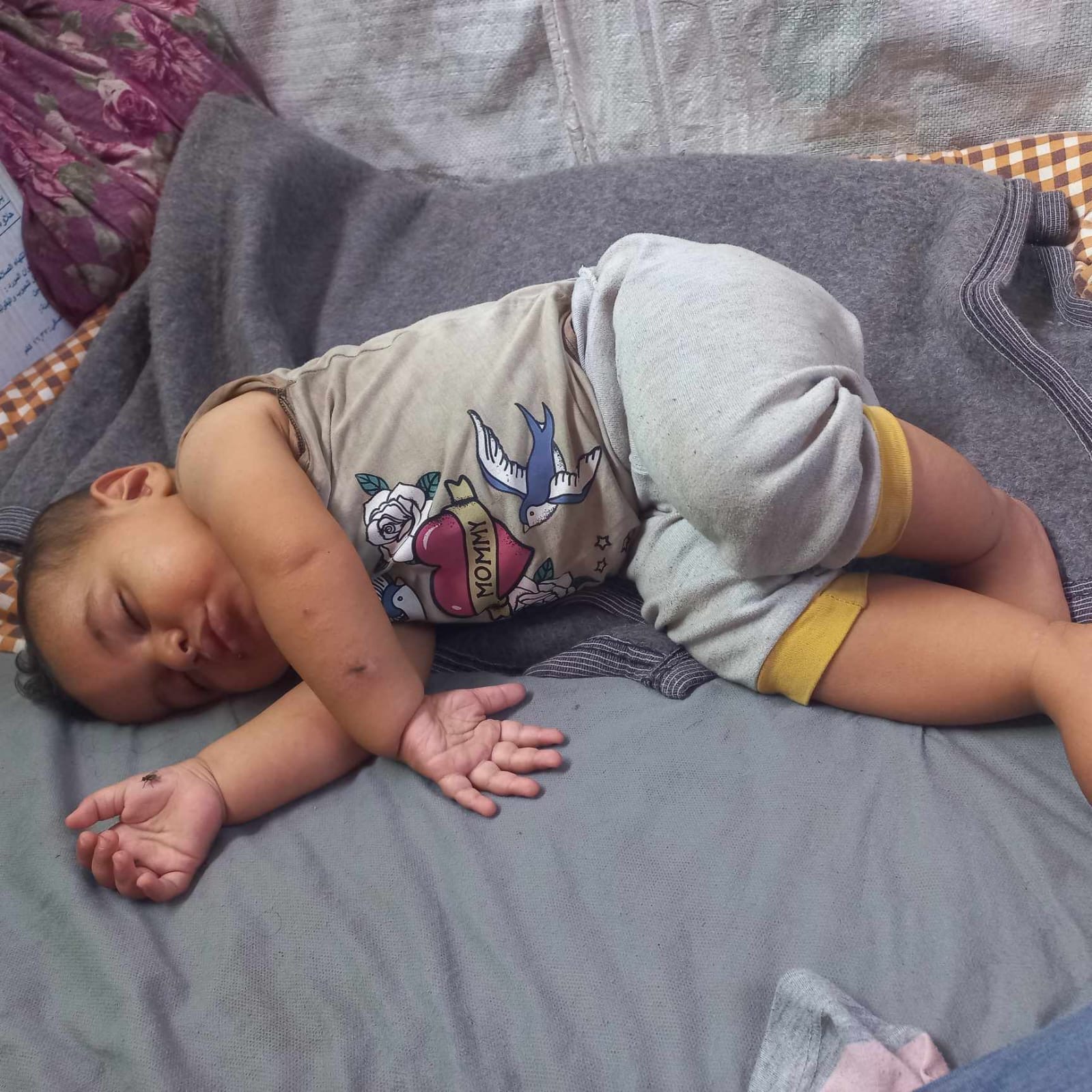 Help Enas and Her Little Boy Survive the Crisis in Gaza campaign photo, 5 of 6