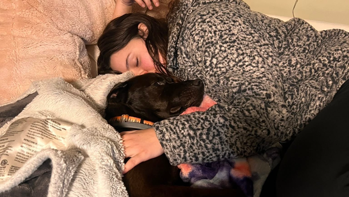 Help Lola Heal After Her Accident photo