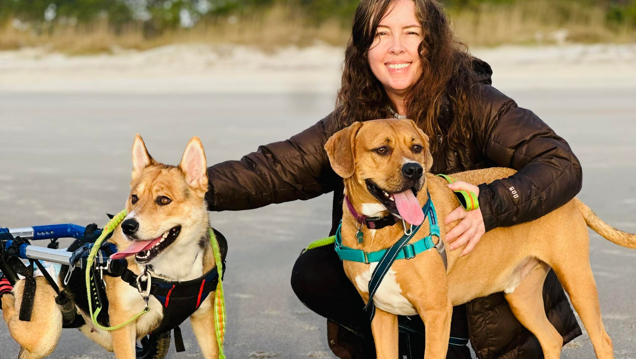 Fundraiser by Heidi Reed : Support My Surgery Journey