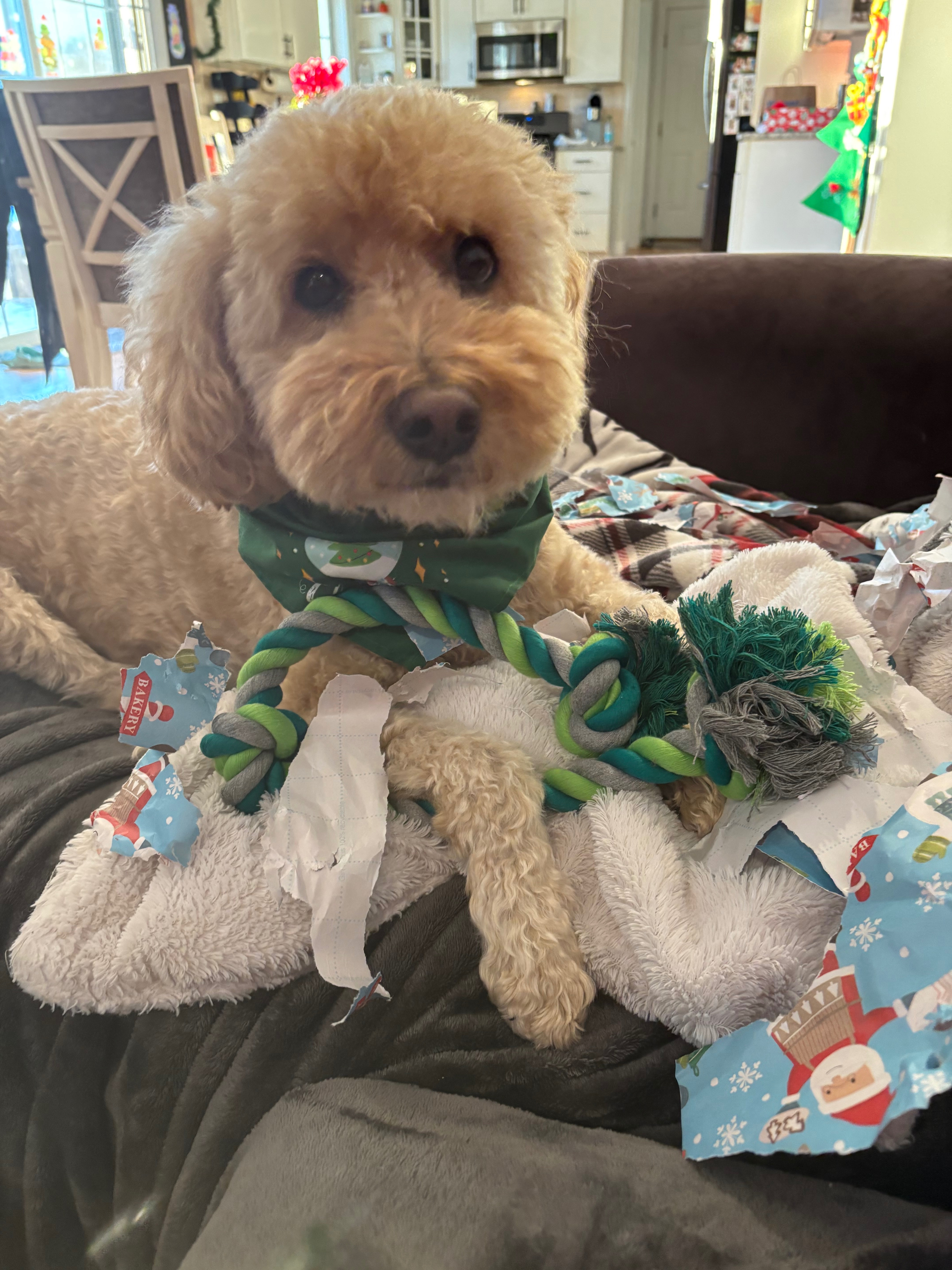 Help Brady Recover from His Emergency Surgery campaign photo, 6 of 7