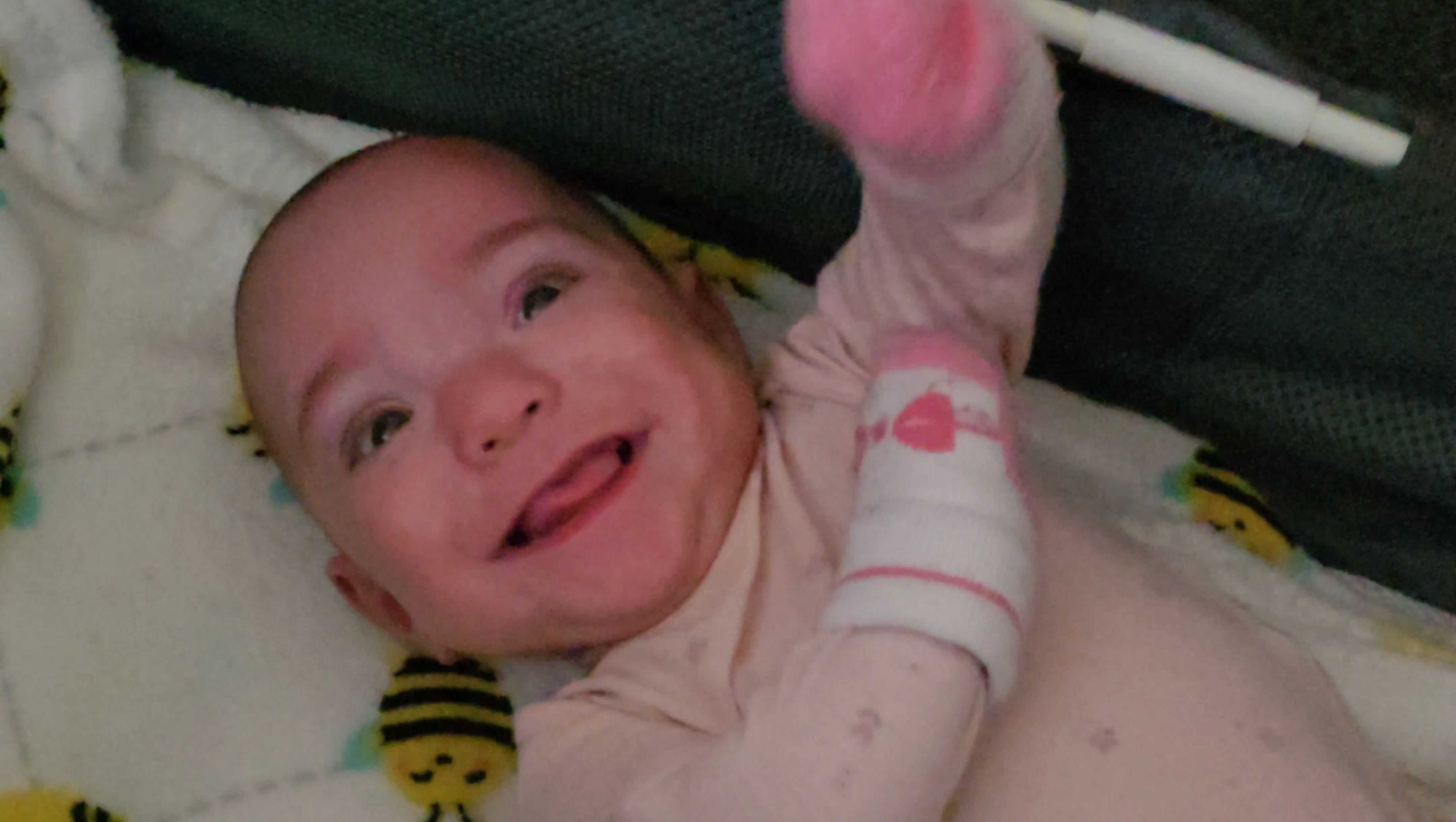 Help Us Heal After Our Heartbreaking Loss pinned link photo