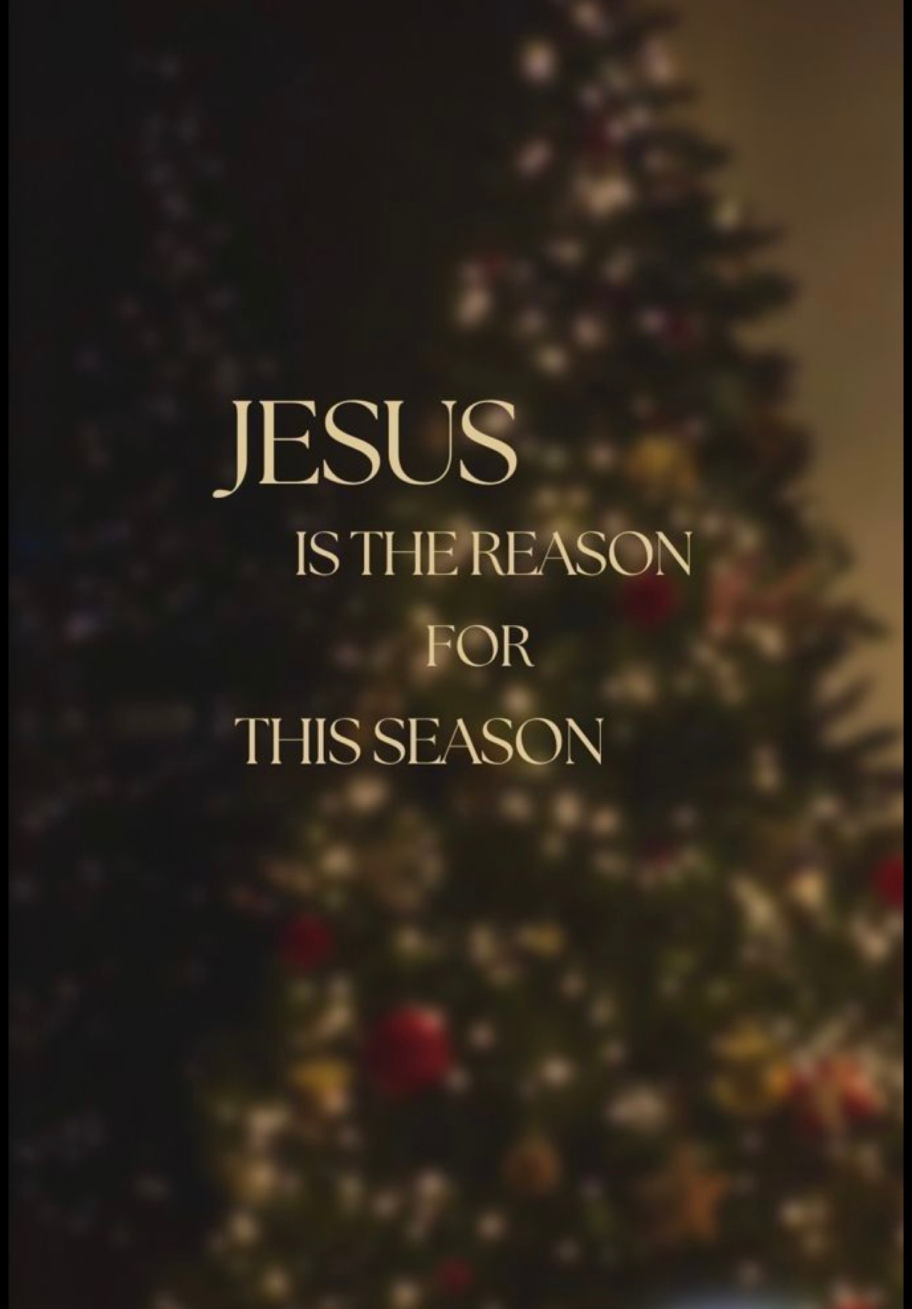 Bless Amanda Fulton’s Family This Christmas campaign photo, 2 of 4