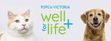 Vir's Birthday Wish: Become an RSPCA Guardian Angel for Dogs campaign photo, 4 of 5