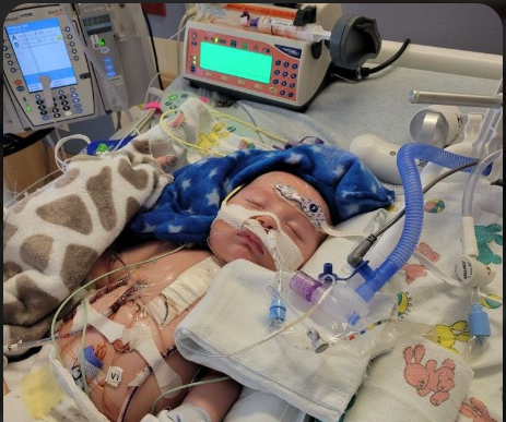 Urgent Surgery for Baby Nelly’s Heart campaign photo, 2 of 5
