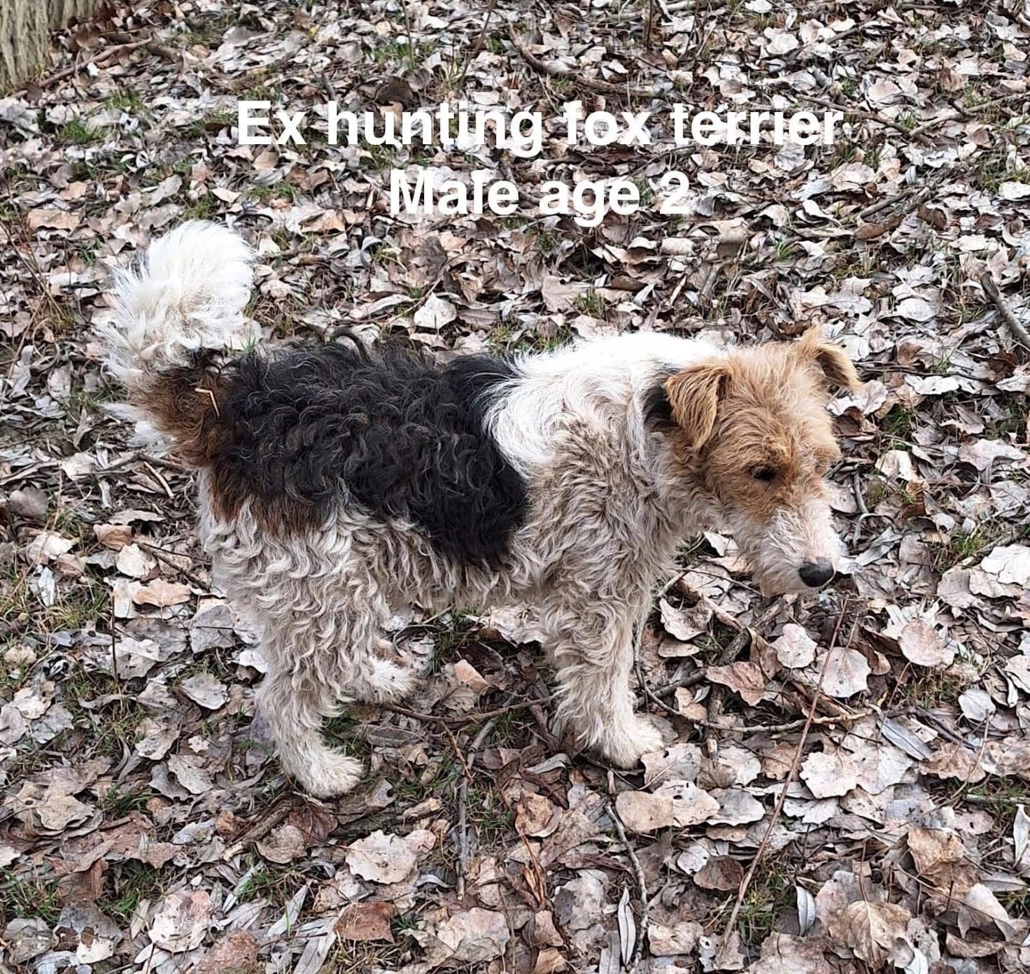 Theea’s Rescue campaign photo, 5 of 8