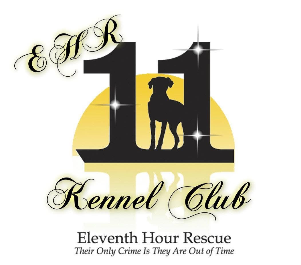 Holiday Cheer for EHR Kennel Dogs campaign photo, 4 of 6
