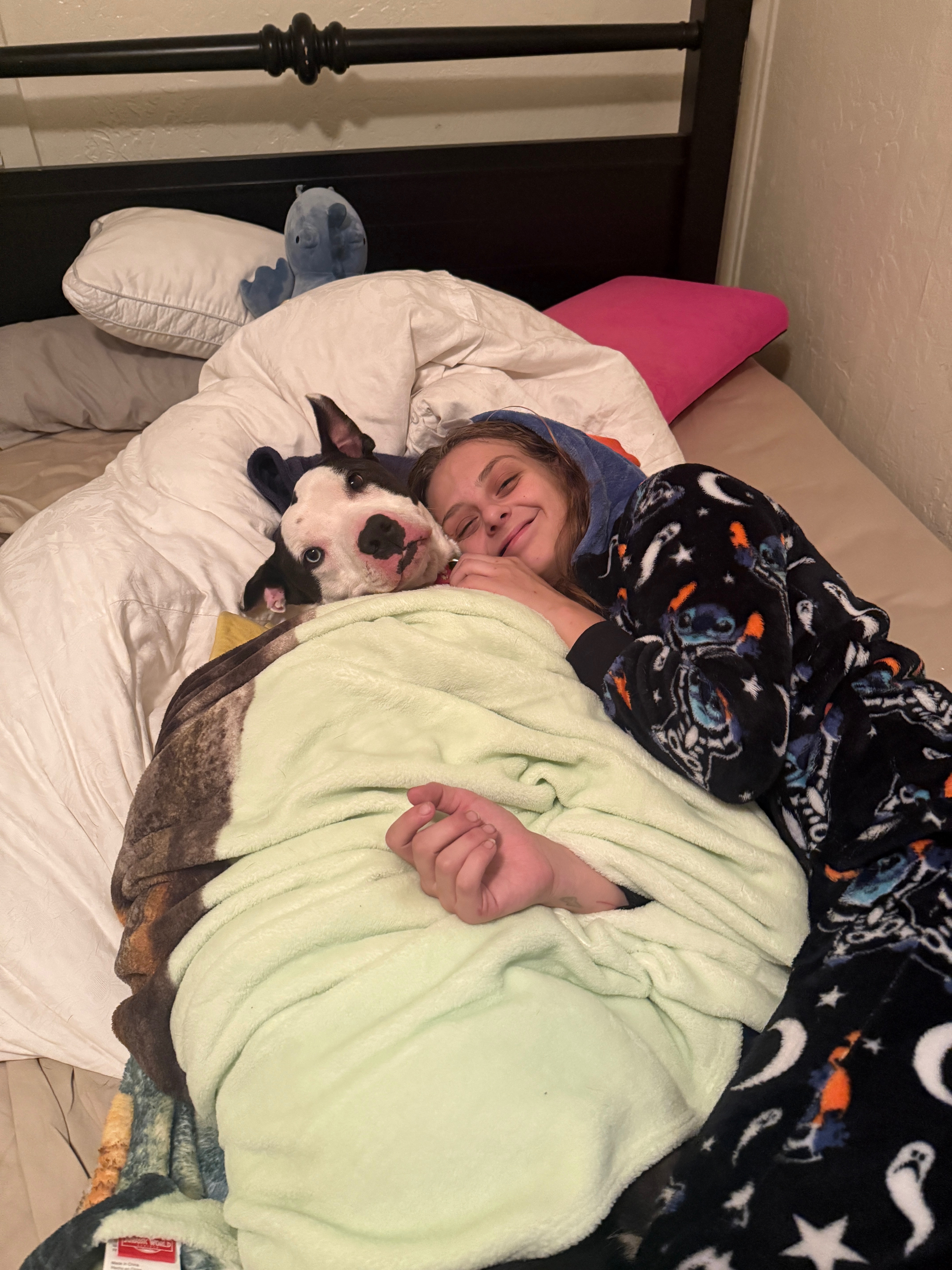 Help Karev Get Urgent Vet Care campaign photo, 4 of 8