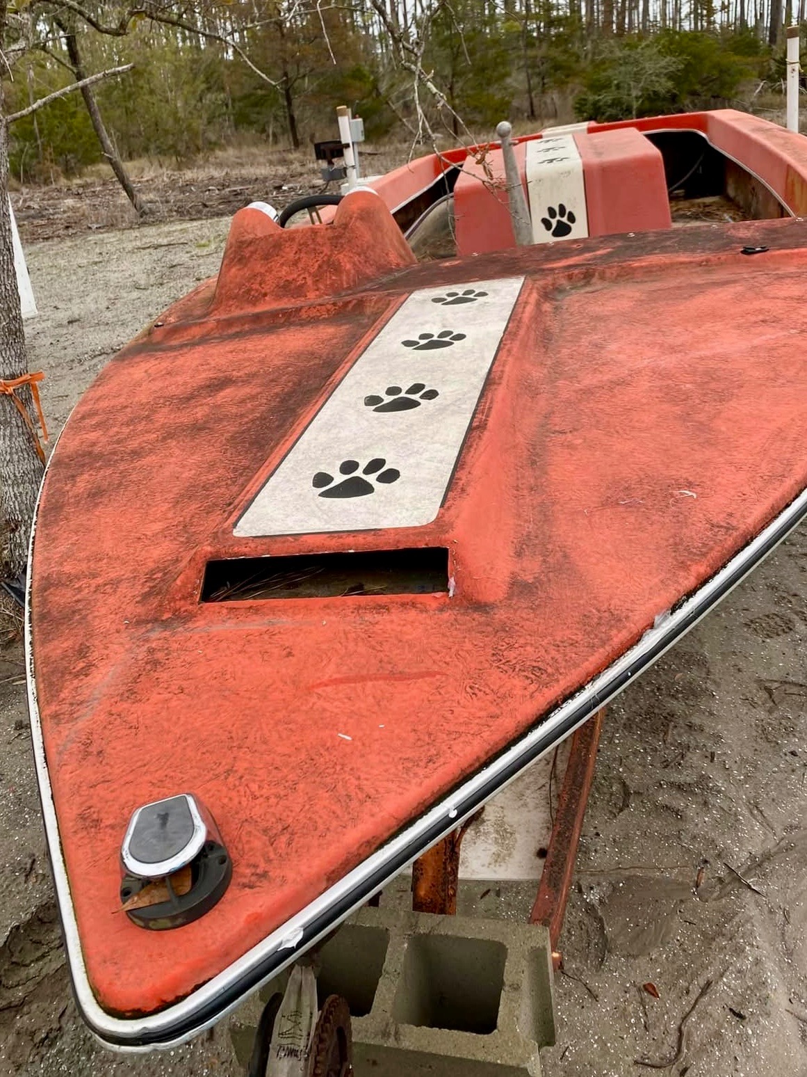 Help Restore Clemson’s 1979 Paws & Stripes MasterCraft Boat campaign photo, 4 of 8