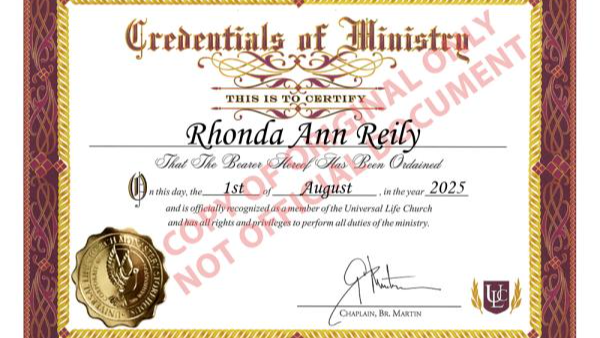 Homebound Happiness: A Journey Home photo