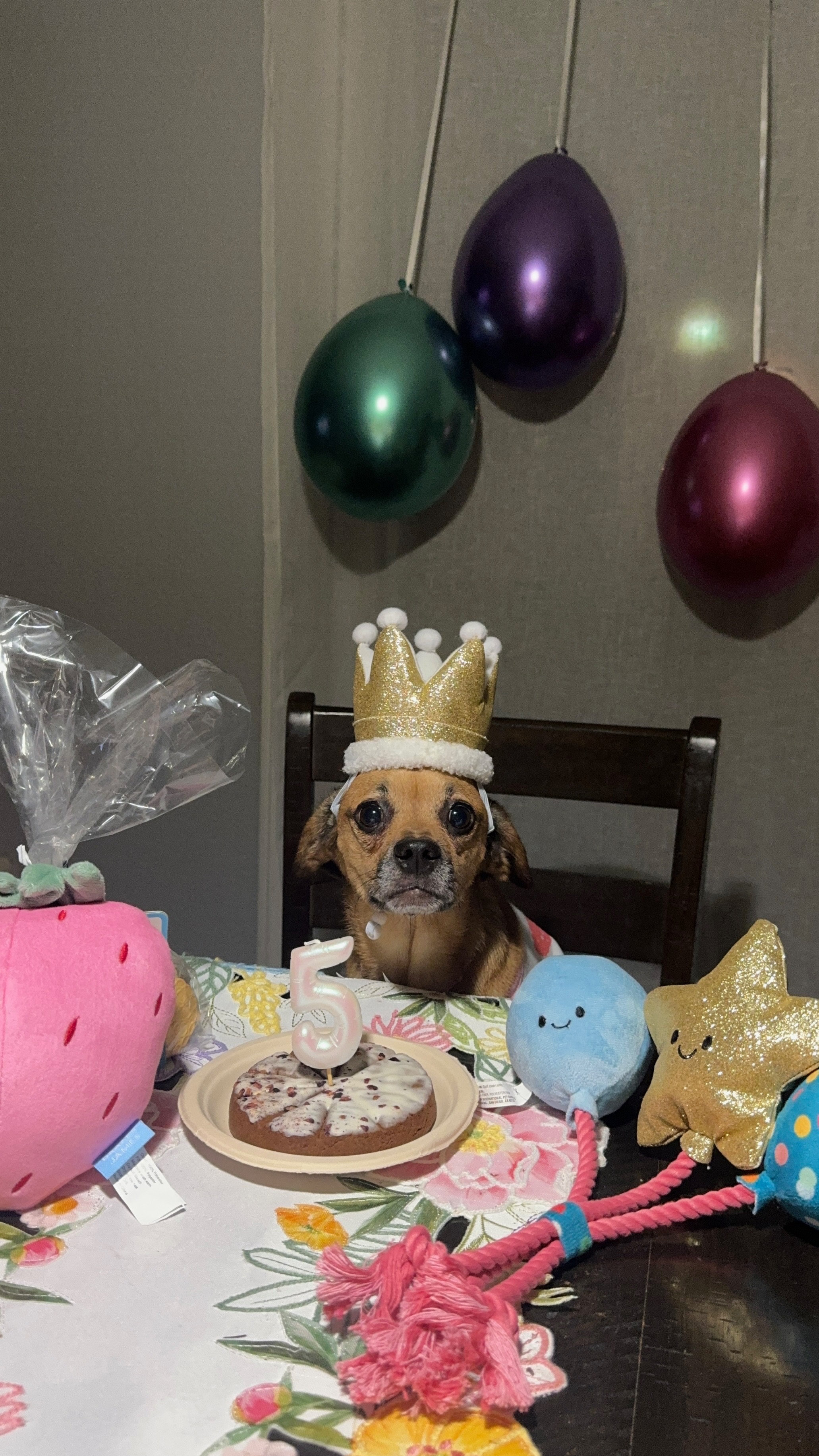 Help Riley Get Life-Saving Surgery campaign photo, 5 of 7