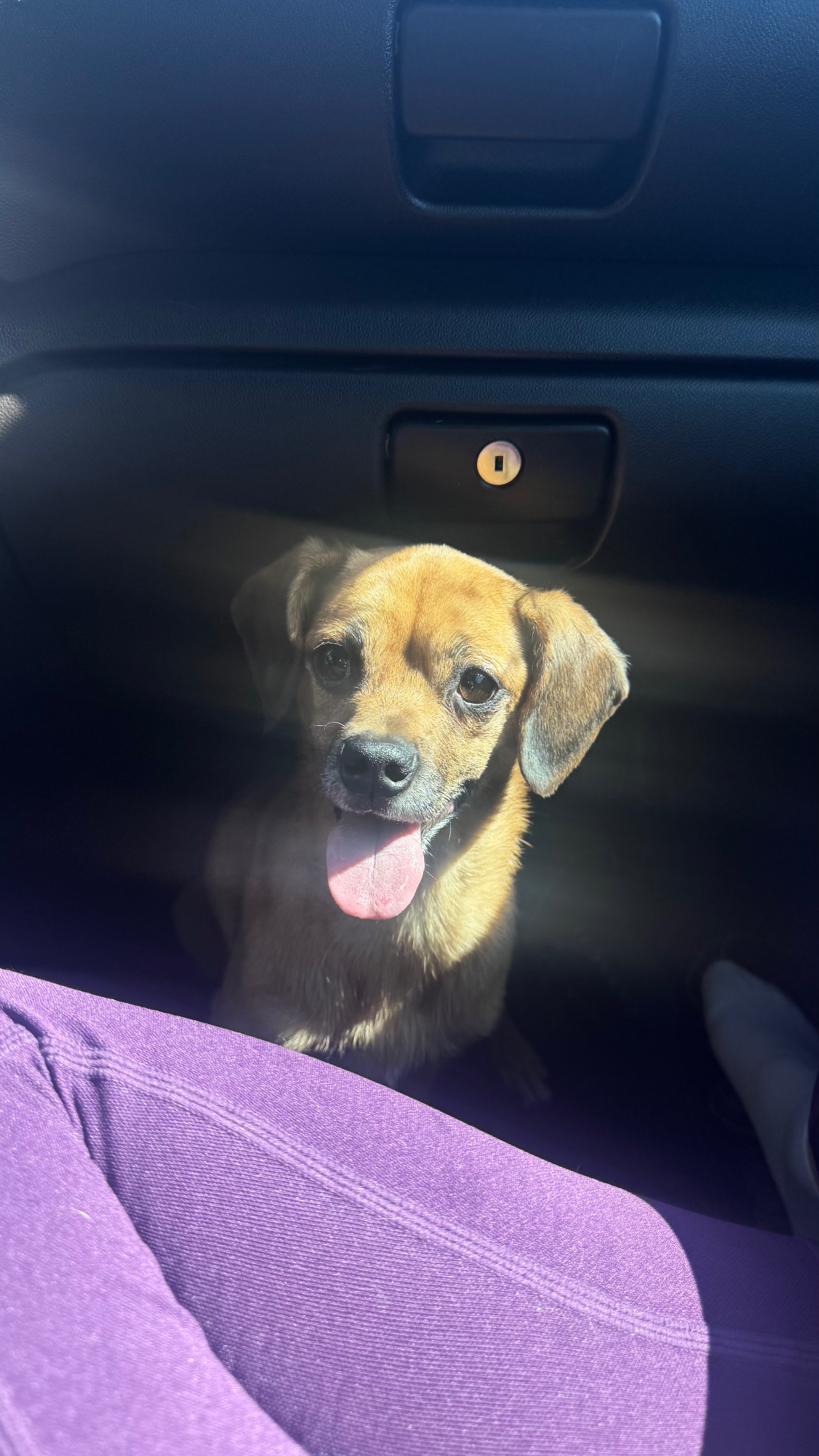 Help Riley Get Life-Saving Surgery campaign photo, 6 of 7