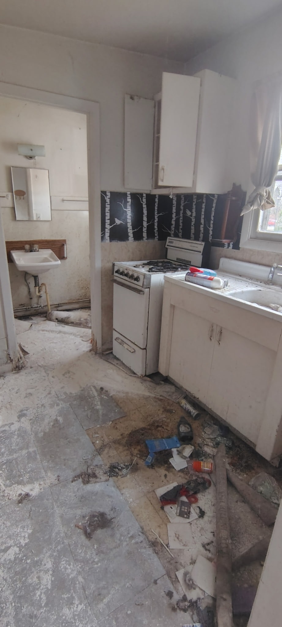 Rebuilding Hope: A second chance at life campaign photo, 6 of 8