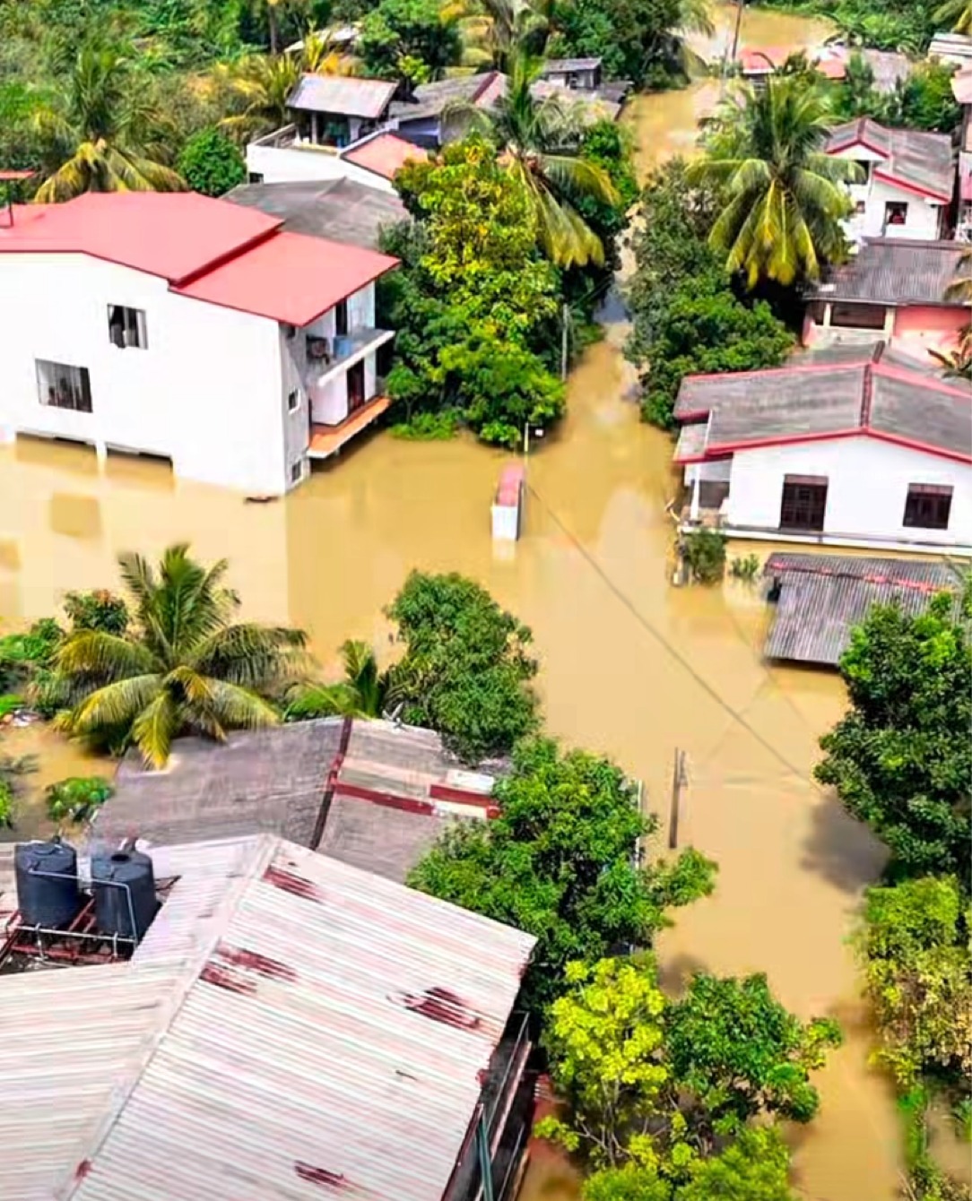 Sri Lanka Flood Relief – UK Ladies Cricket Community campaign photo, 4 of 8