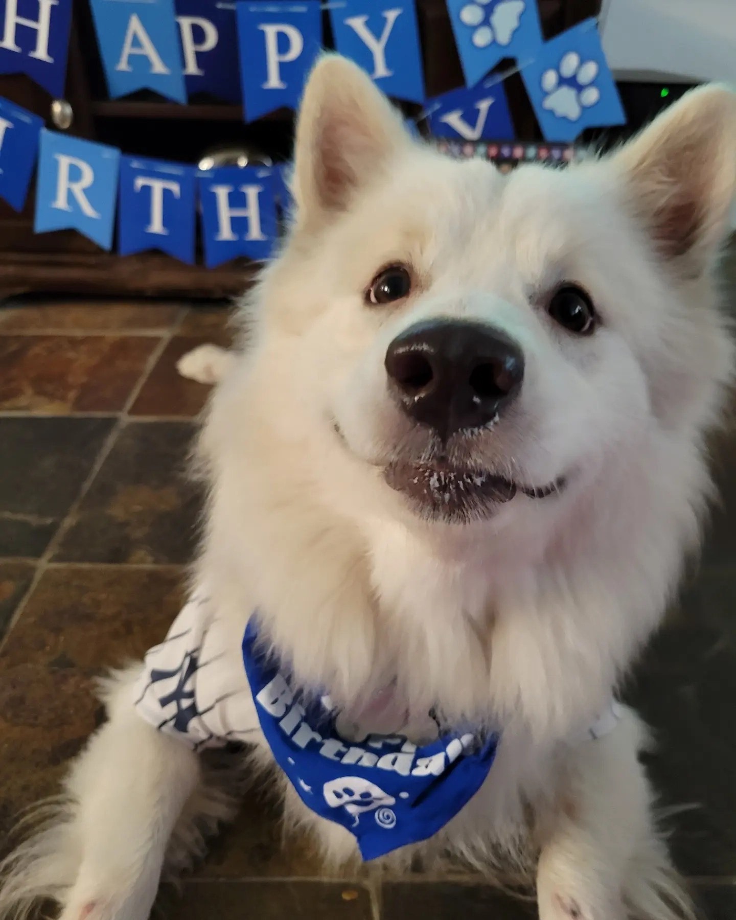 Help Michelle Save Obie’s Life campaign photo, 2 of 5