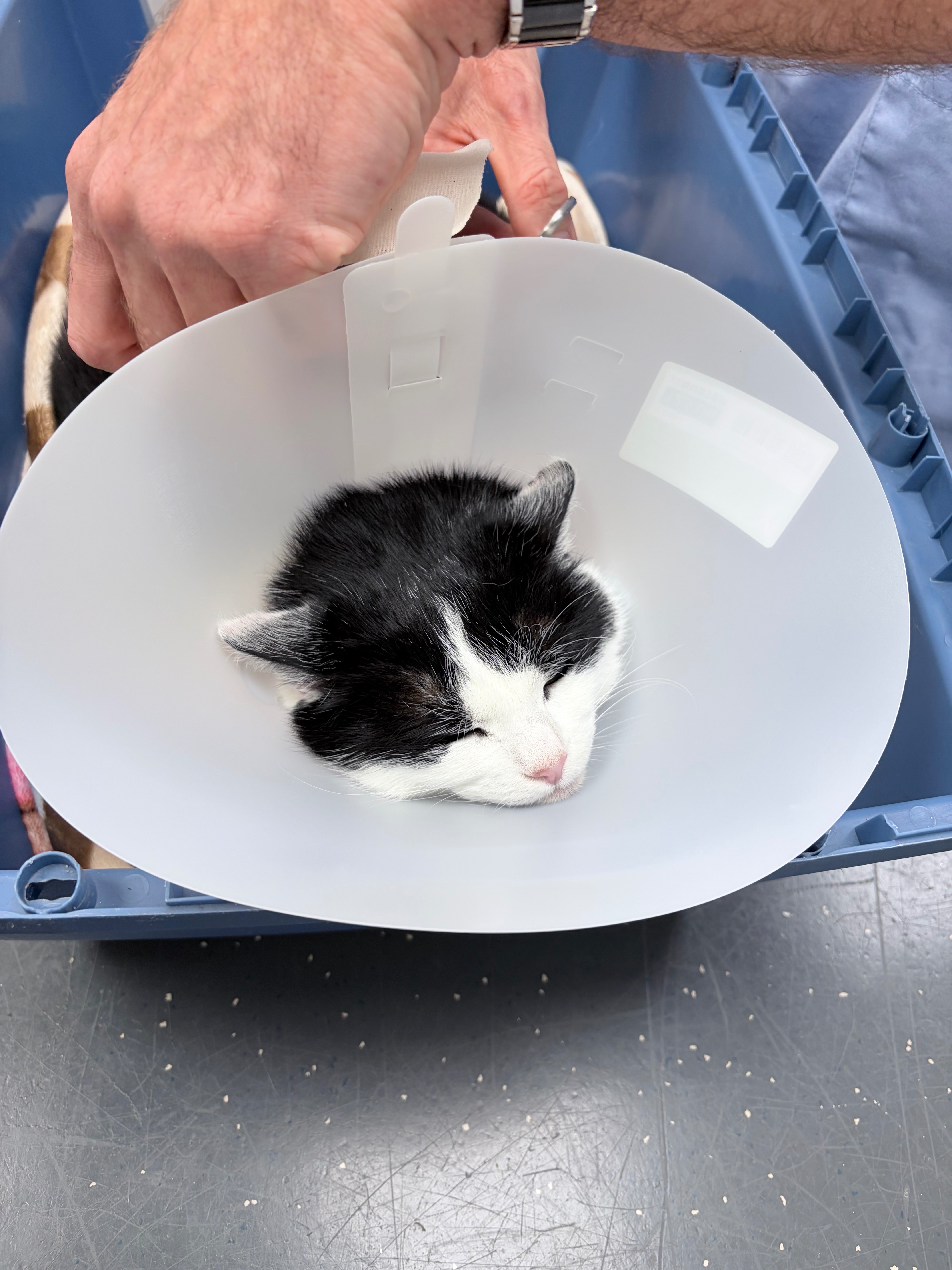 Help Lucia Get Life-Saving Treatment campaign photo, 4 of 5