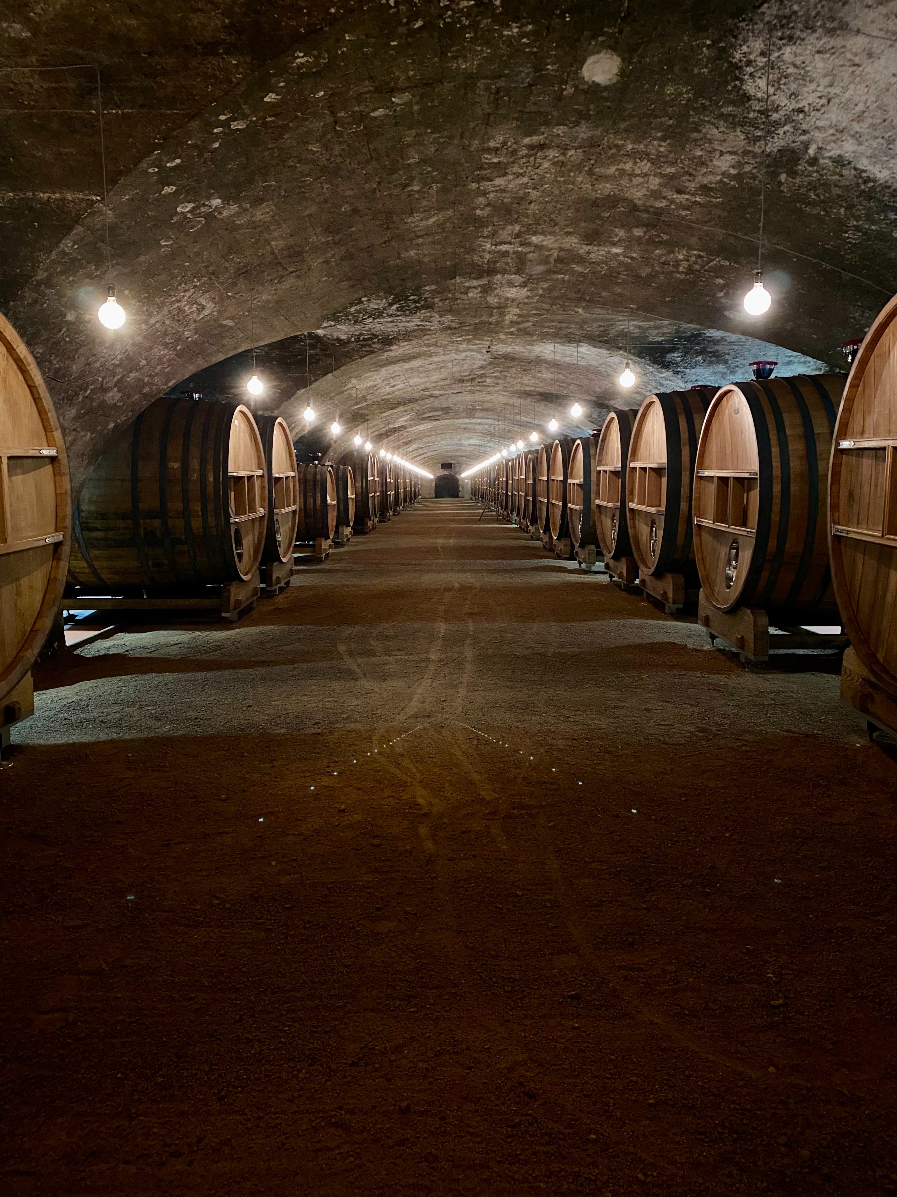 Fund Katie's Education at The American Wine School campaign photo, 2 of 6