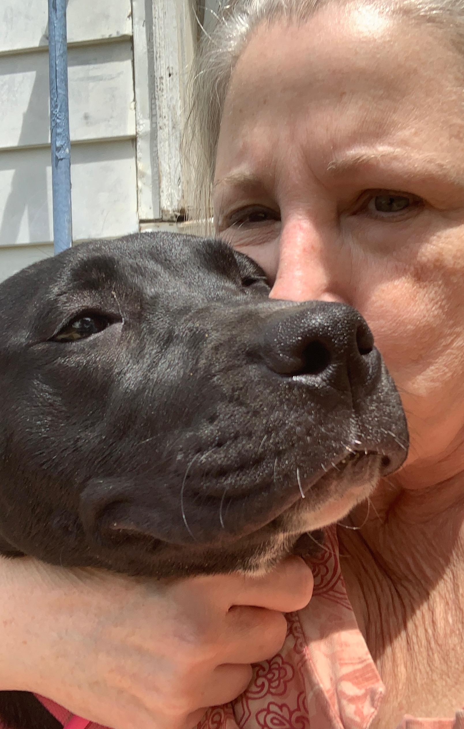Help Mary Puppins Heal After Accident campaign photo, 2 of 8