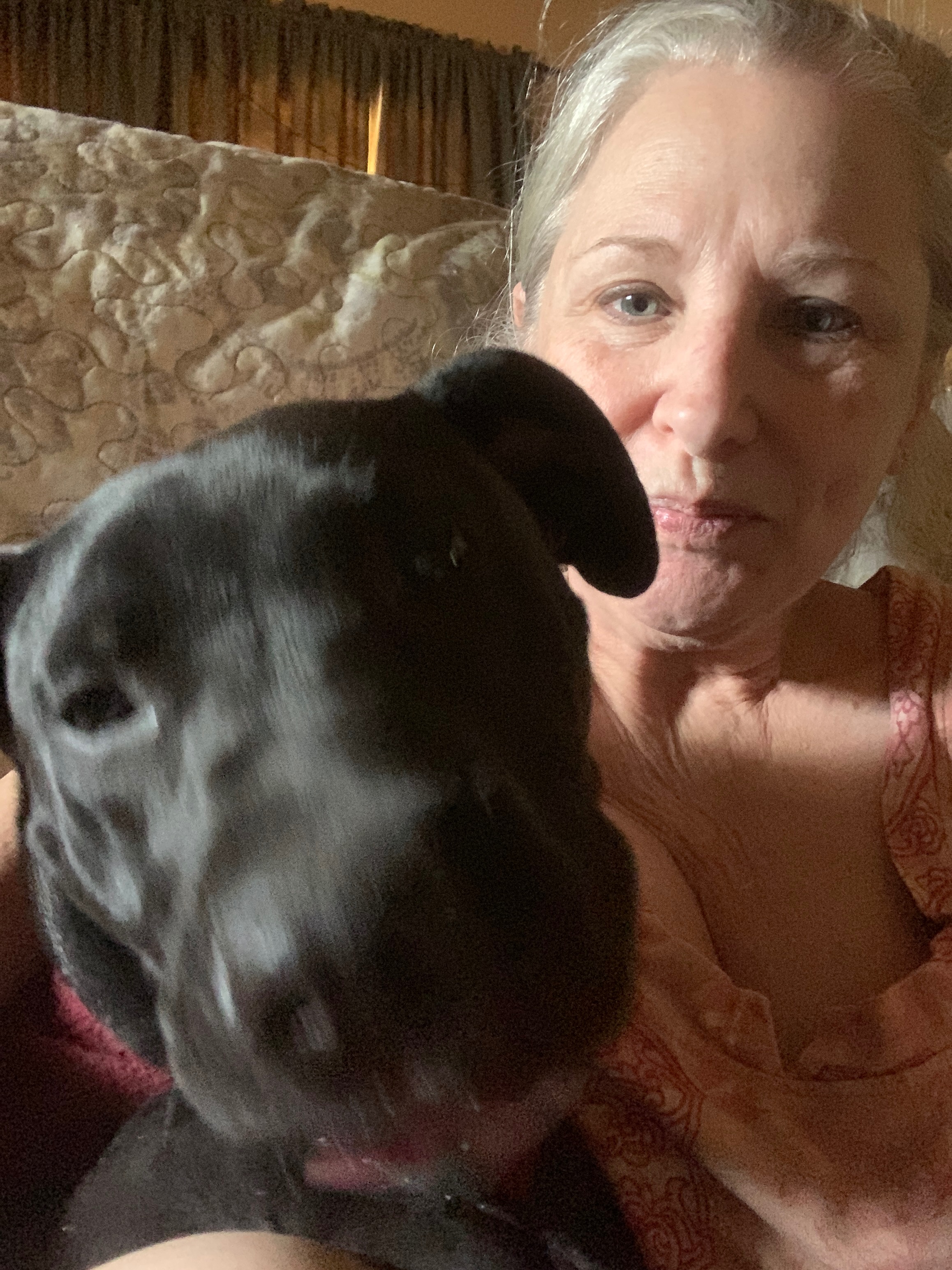Help Mary Puppins Heal After Accident campaign photo, 5 of 8