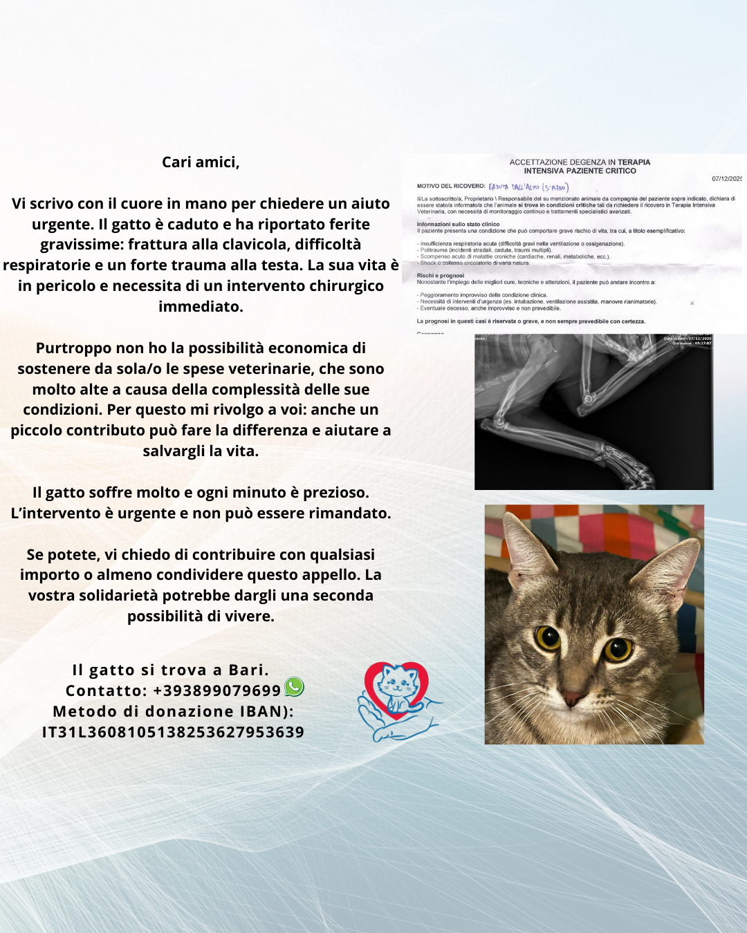 San Marco Veterinary Hospital: Innovazione Veterinaria a Veggiano, image size:1080x1350
