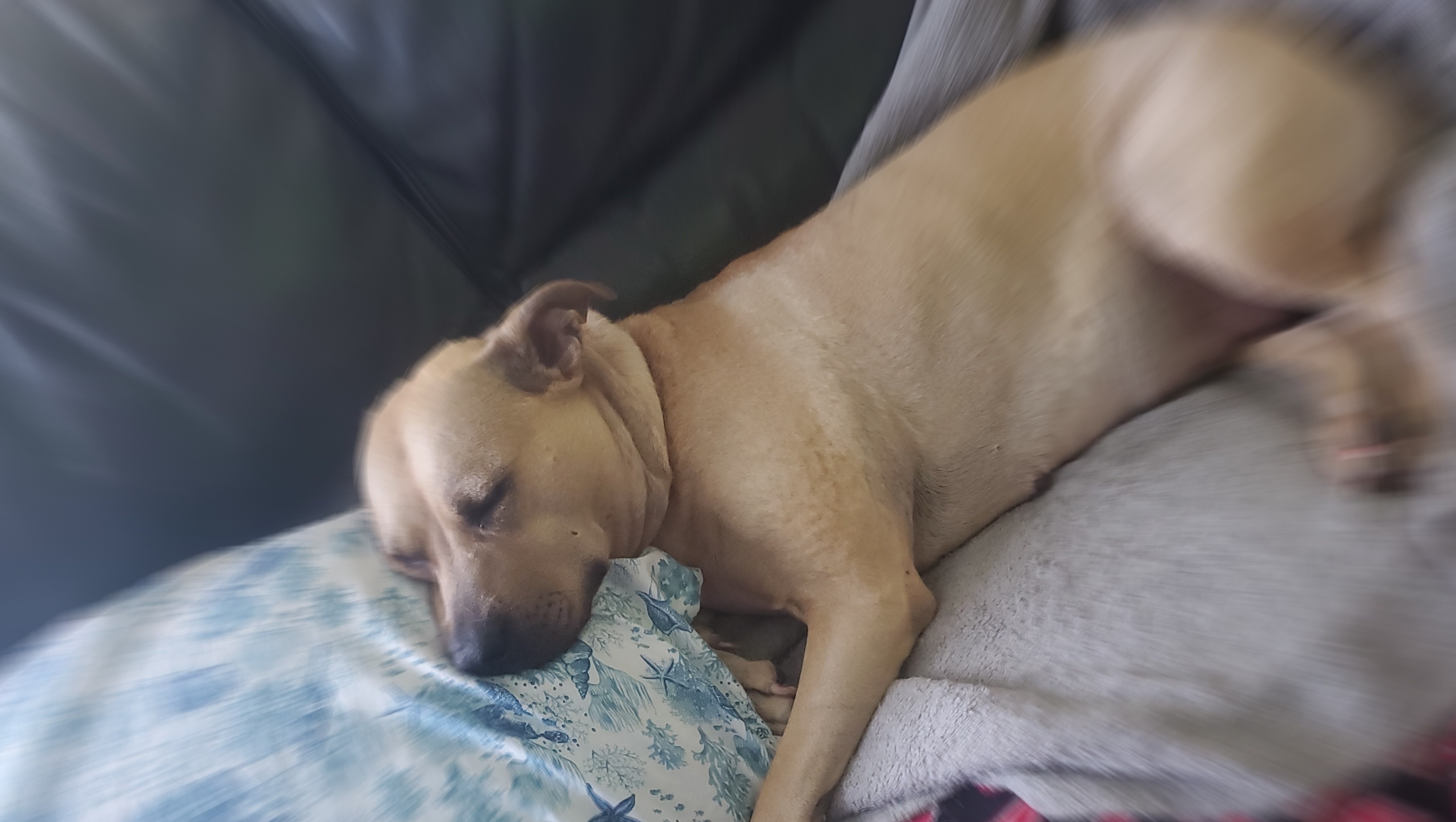 Help My Family Stay Warm and Housed photo