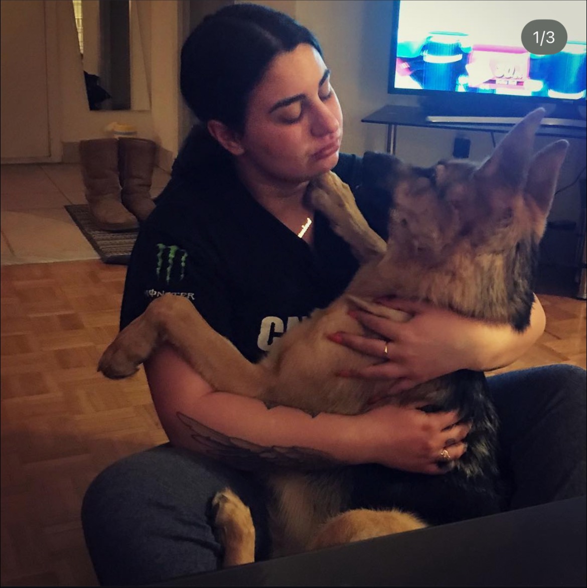 Help Maya Walk Again – Urgent IVDD Surgery Needed campaign photo, 2 of 6