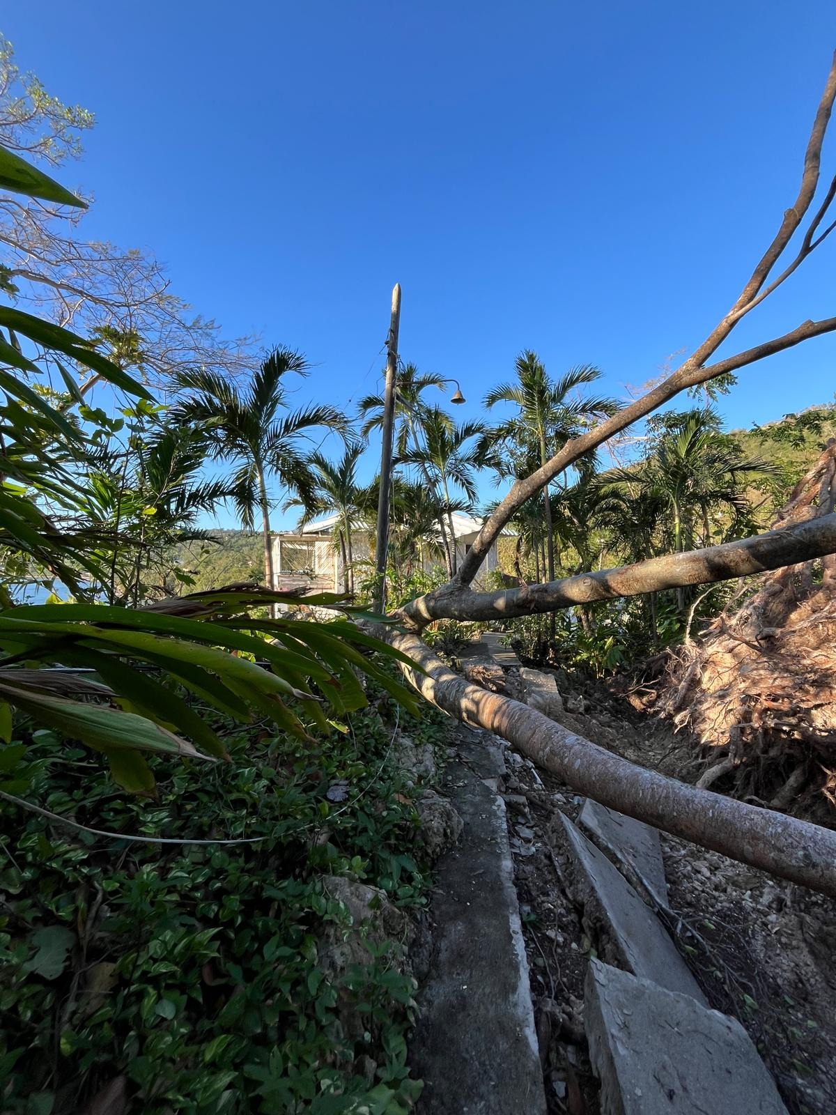 Friends of Blue Harbour - Support Hurricane Recovery! campaign photo, 6 of 7