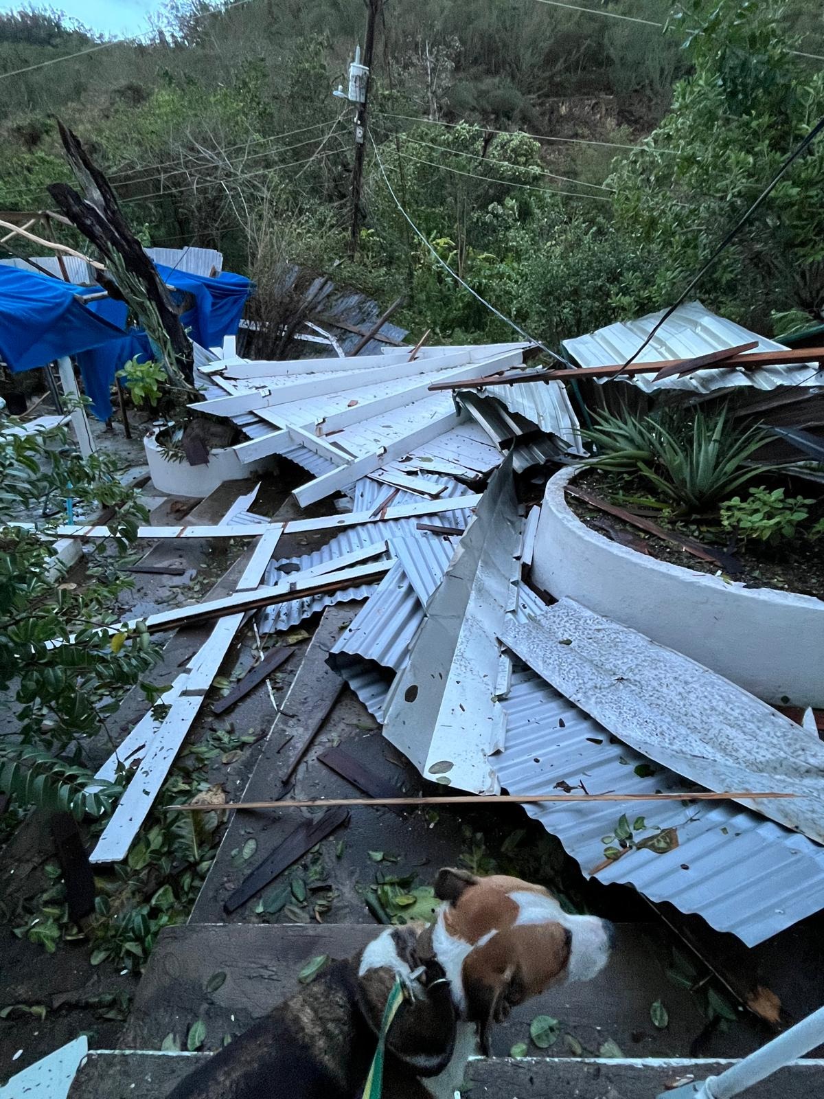 Friends of Blue Harbour - Support Hurricane Recovery! campaign photo, 2 of 7