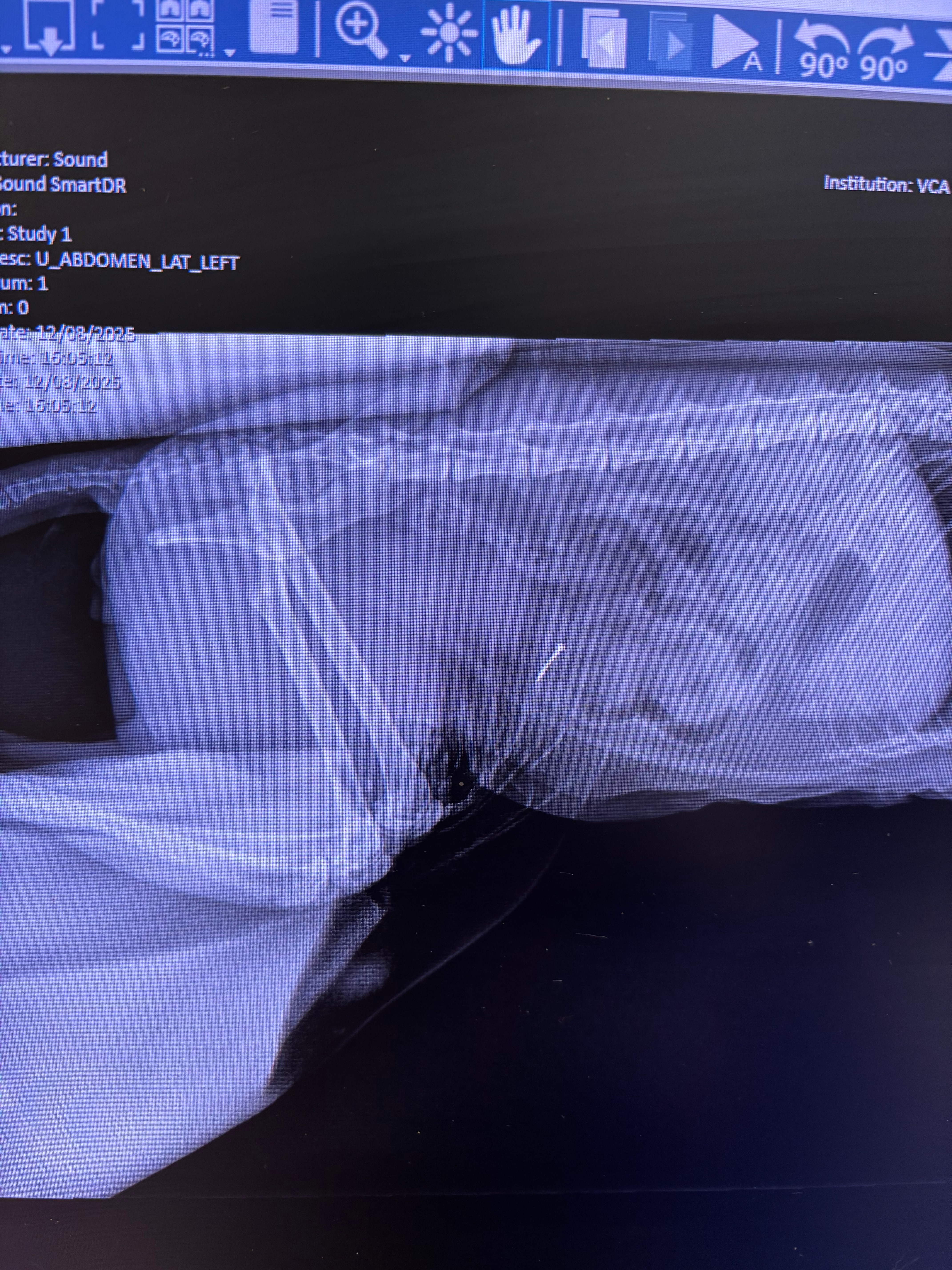 Support Pringles' Surgery Costs campaign photo, 5 of 5
