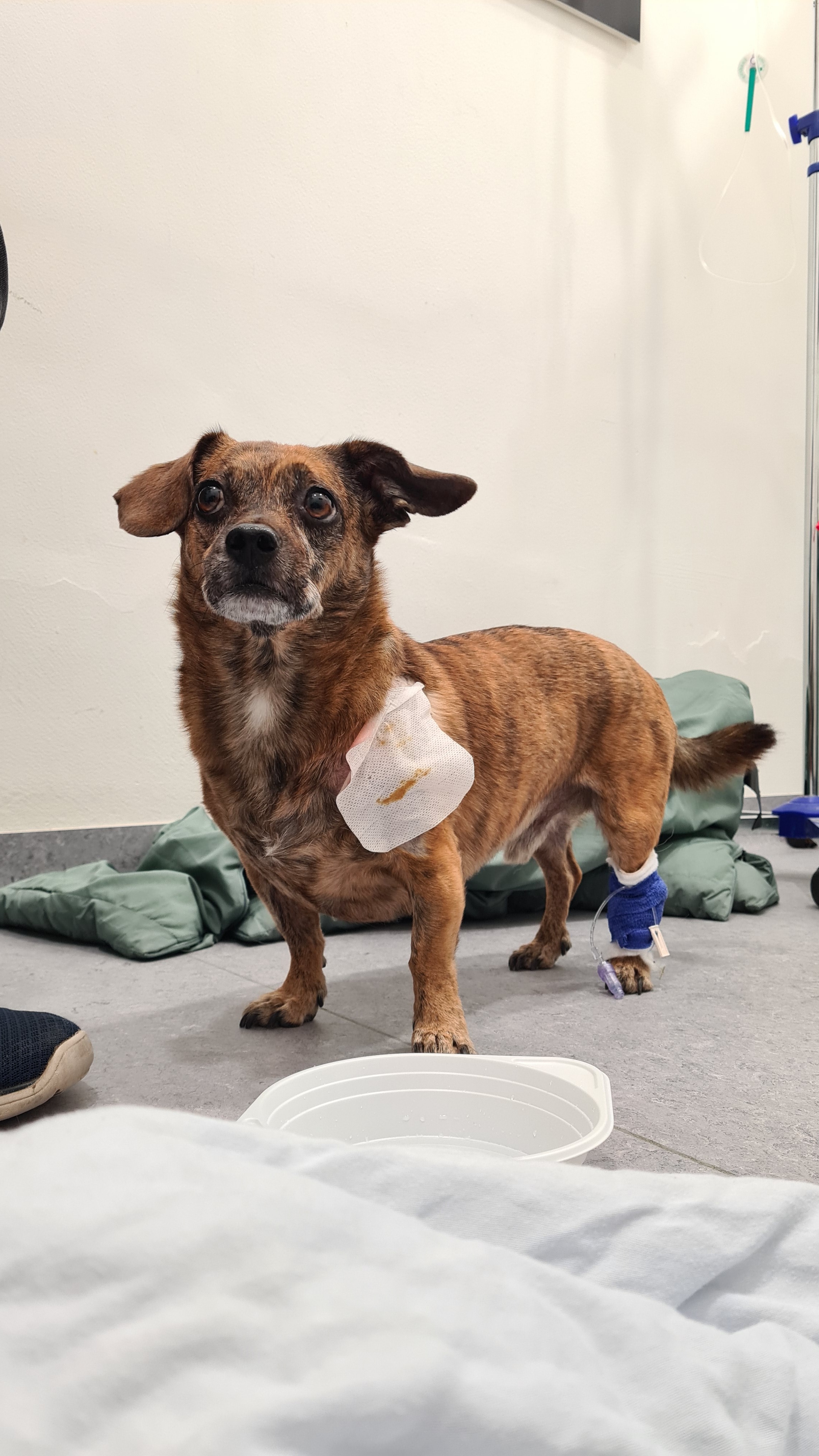 Oskar und seine Krebsdiagnose campaign photo, 4 of 8