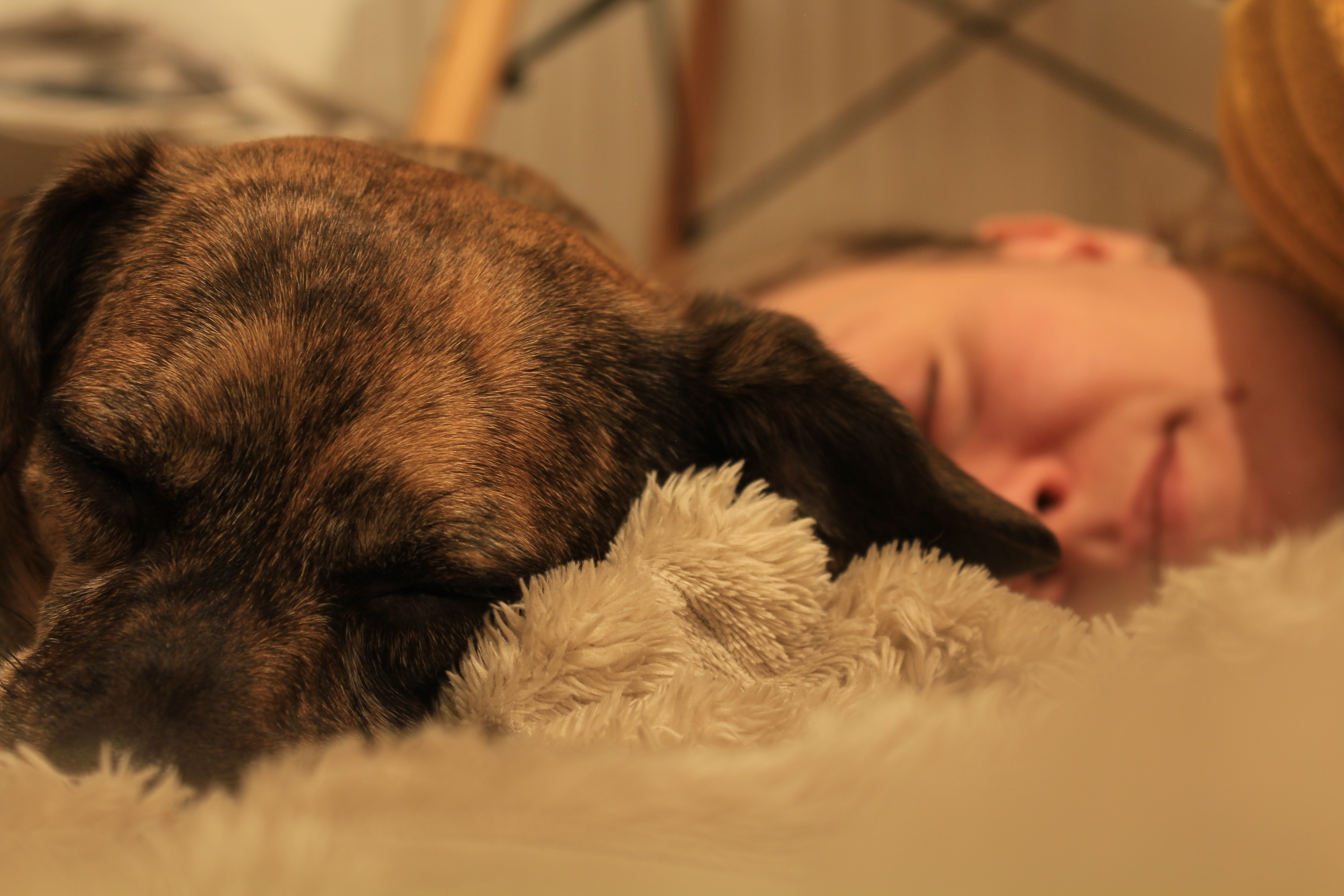 Oskar und seine Krebsdiagnose campaign photo, 5 of 8