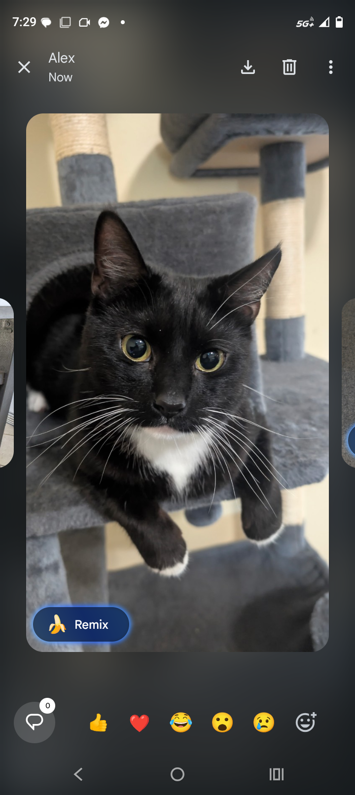 Help Onyx Get Lifesaving Vet Care campaign photo, 4 of 7