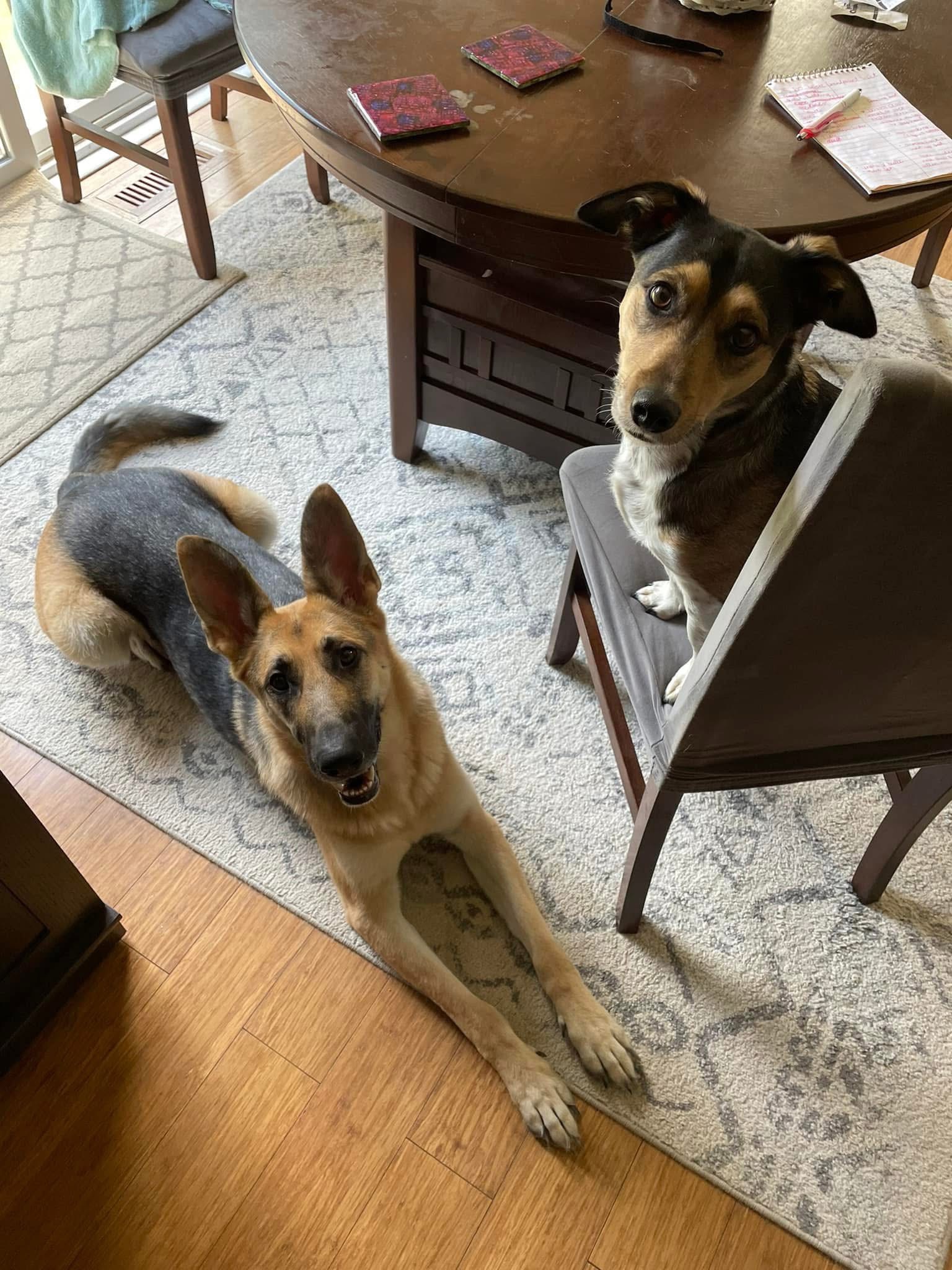 Support Rikii & Kiara After House Fire Tragedy campaign photo, 5 of 8