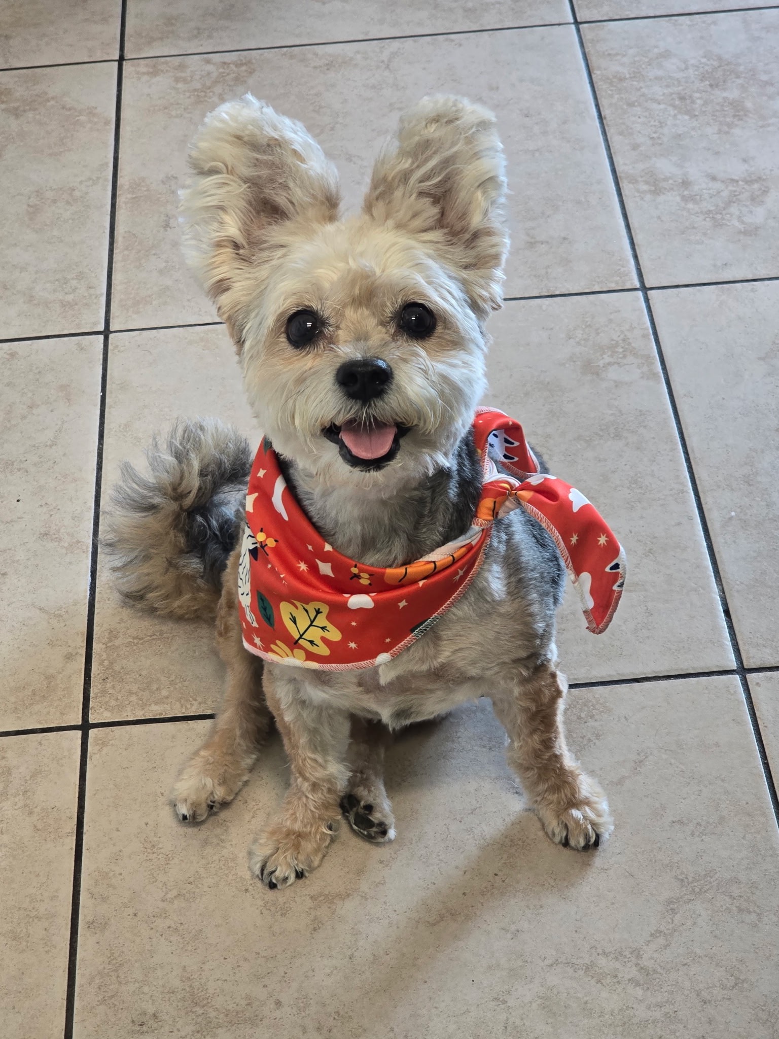 Help Leyla Get Emergency Care campaign photo, 2 of 6