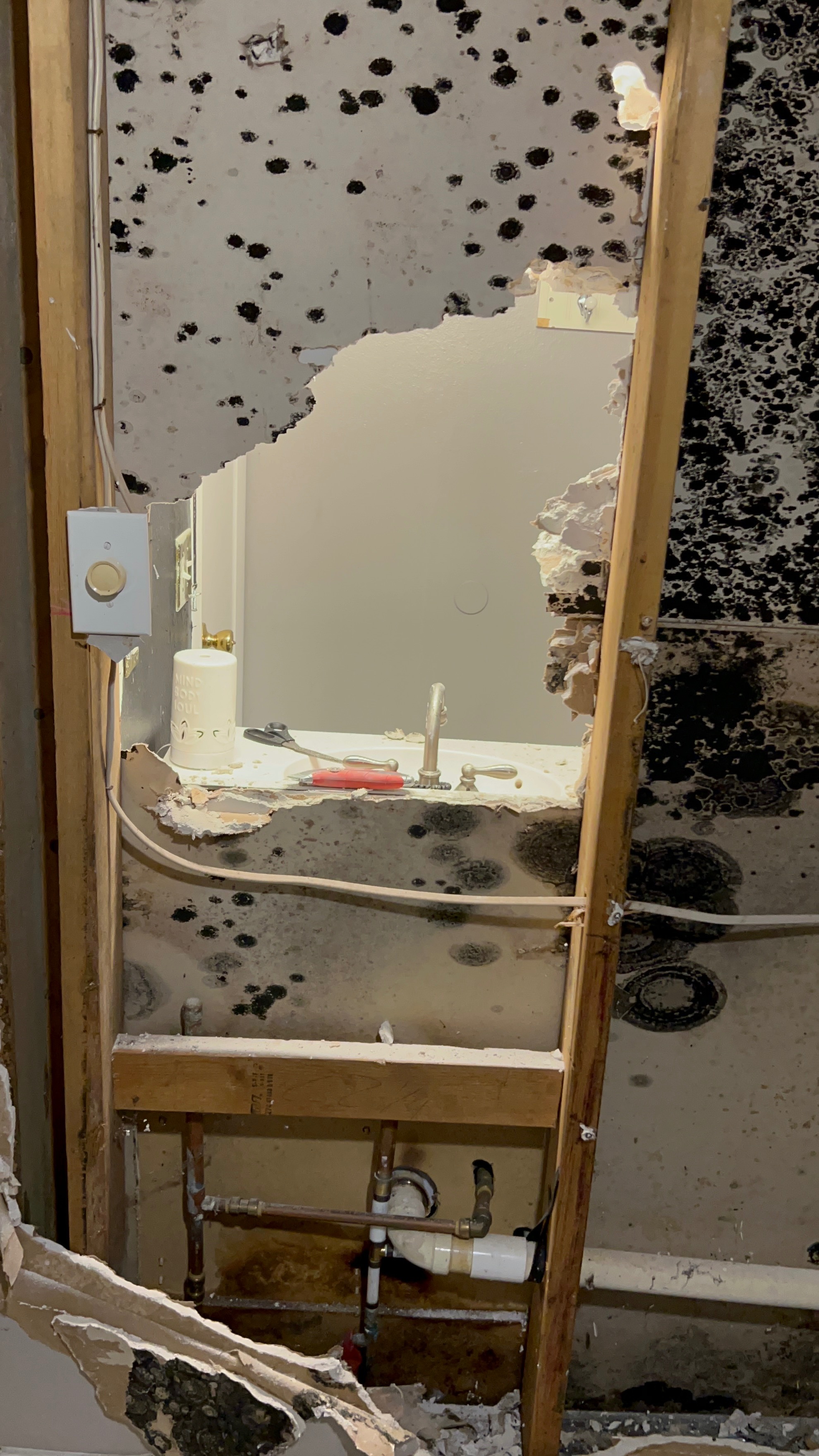 Just a Mother Fighting Toxic Mold to Protect Her Daughter campaign photo, 7 of 8