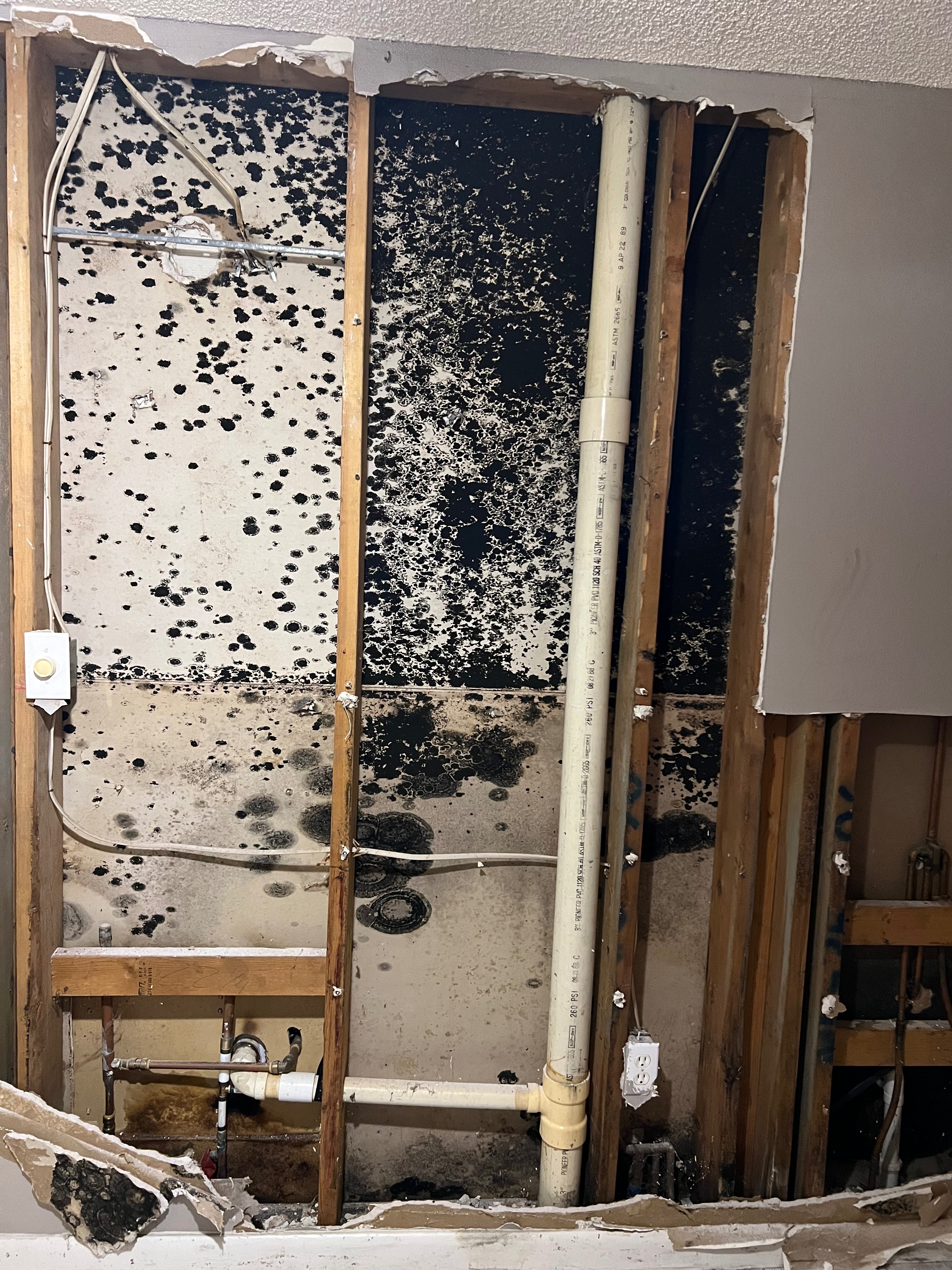 Just a Mother Fighting Toxic Mold to Protect Her Daughter campaign photo, 2 of 8