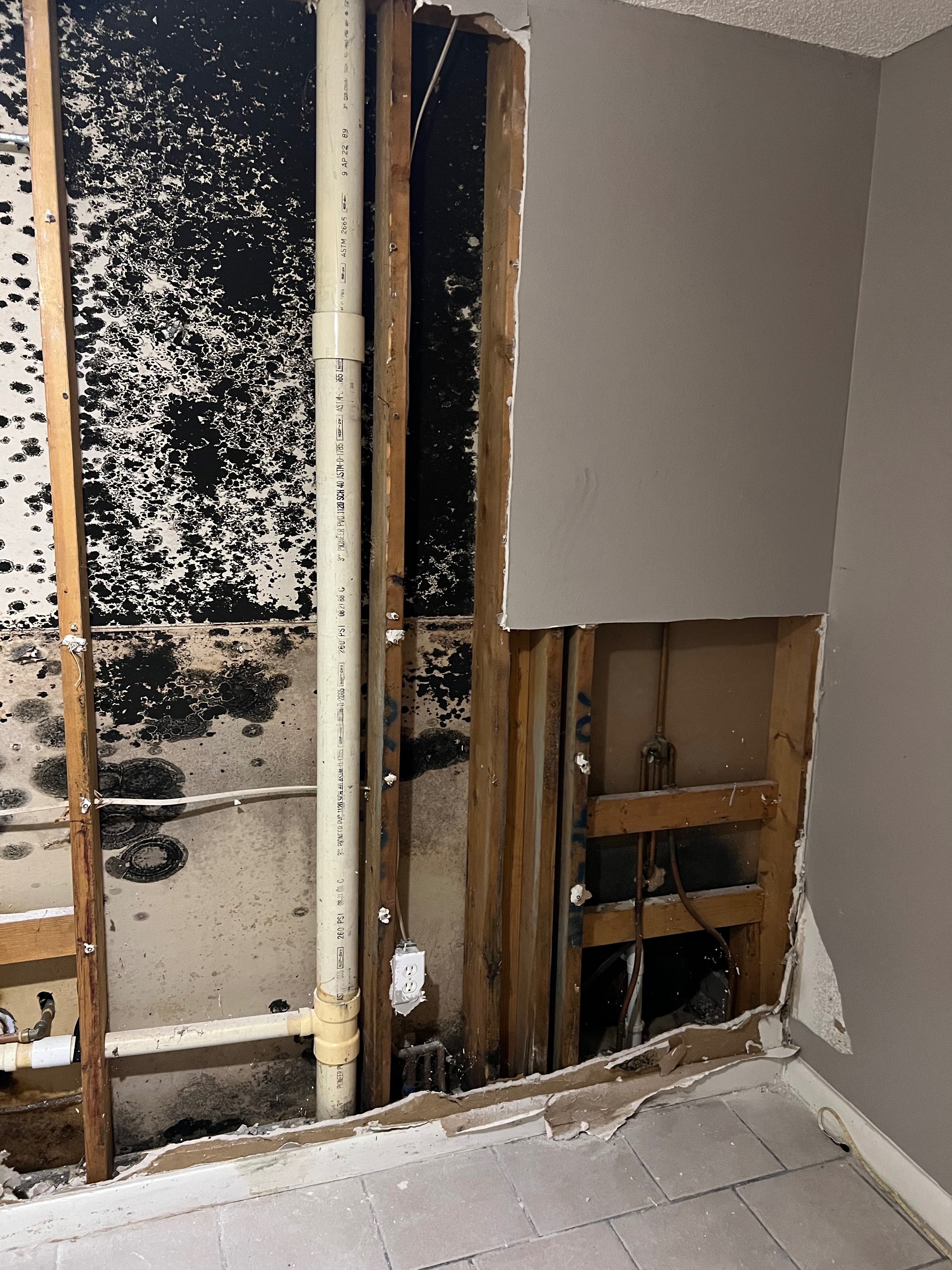 Just a Mother Fighting Toxic Mold to Protect Her Daughter campaign photo, 4 of 8