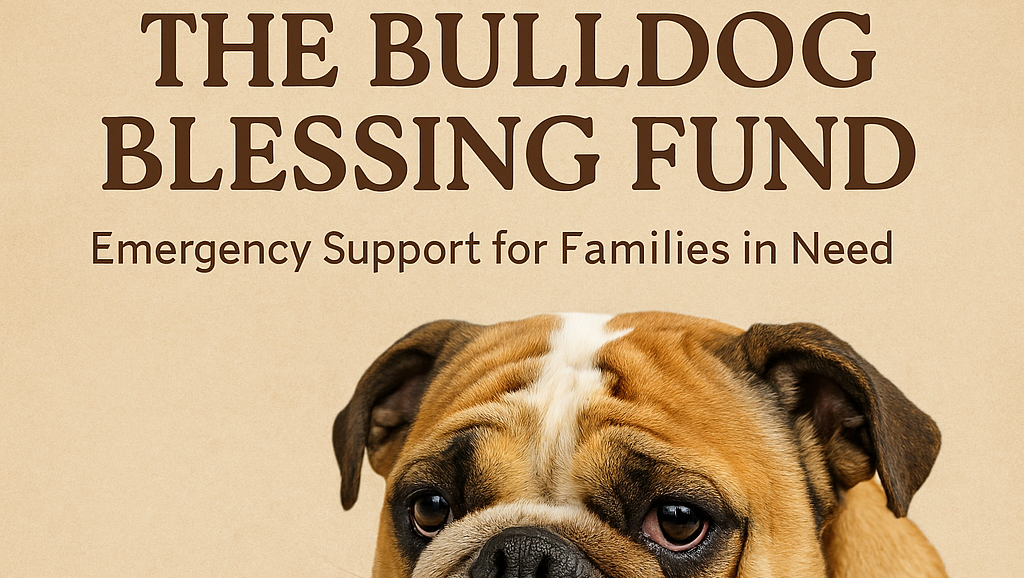 Bulldog Blessing Fund:Emergency Support for Families in need photo