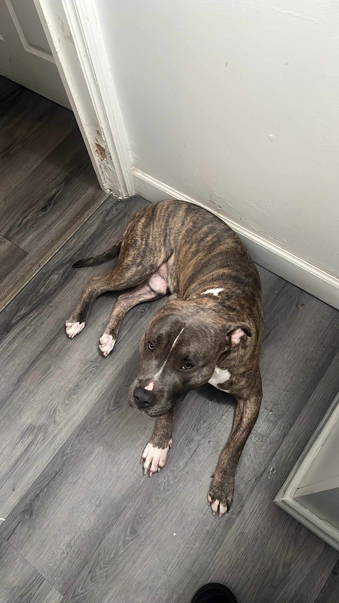 Help Kadoe Get Lifesaving Medical Care campaign photo, 6 of 7
